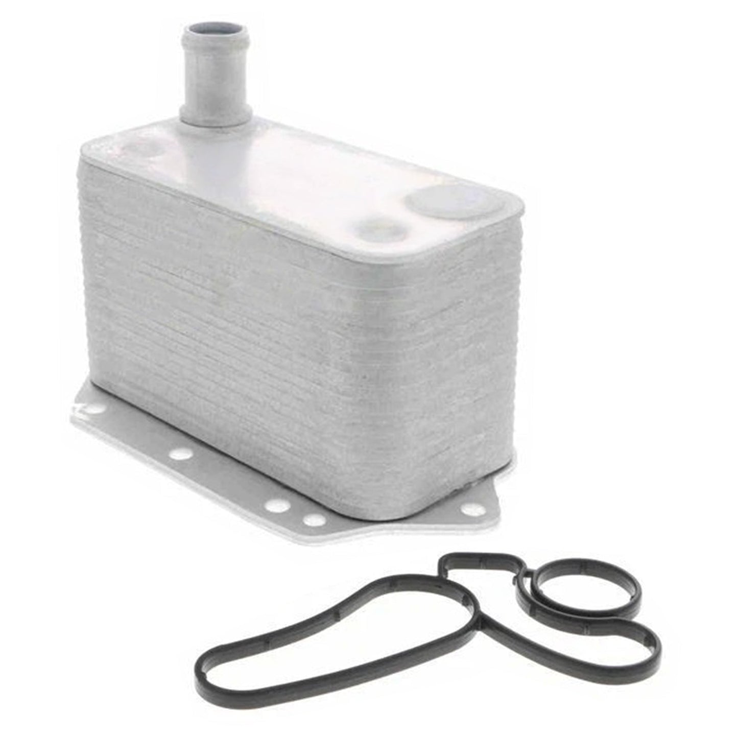 Engine Oil Cooler 11427788462 For BMW 3 5 6 7 X3 X5 X6