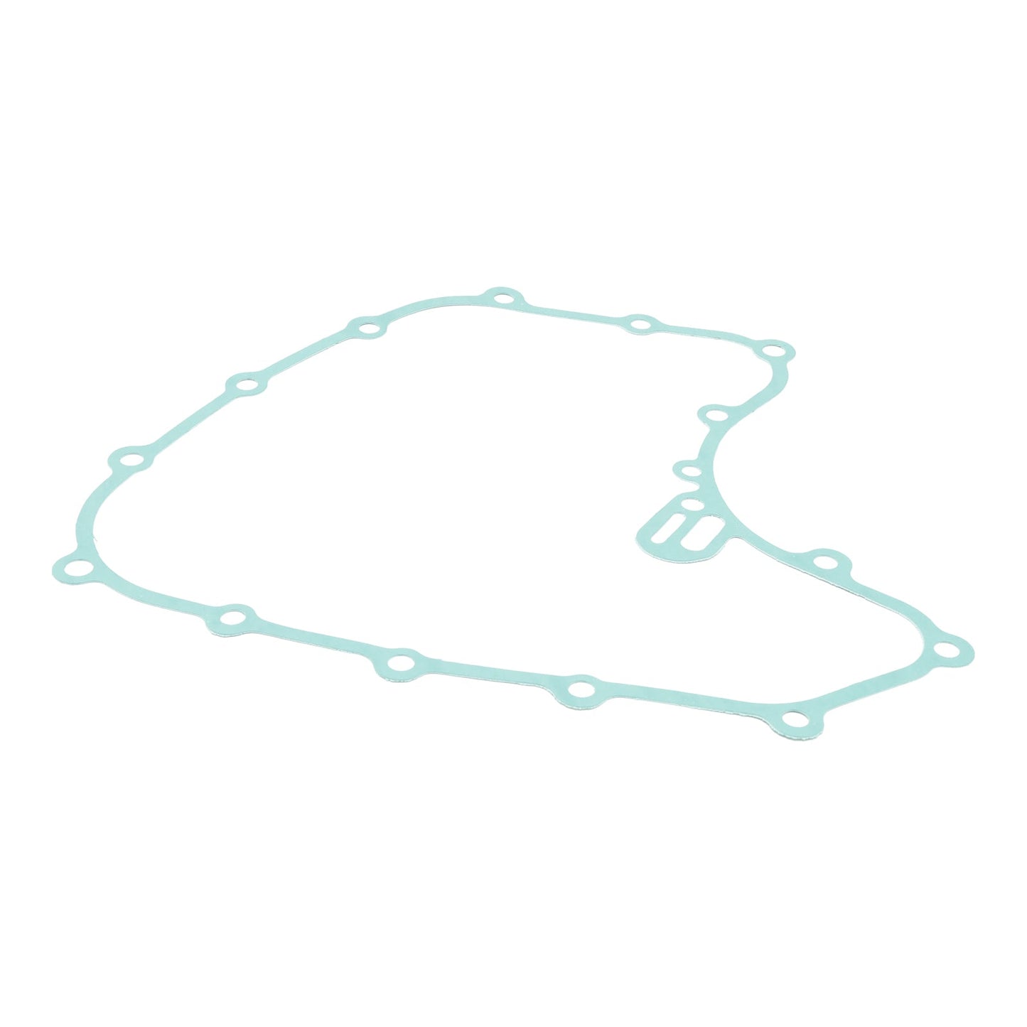 2021 250 Duke Silver - B.D. Magneto Coil Stator + Voltage Regulator + Gasket Assy 28645051033