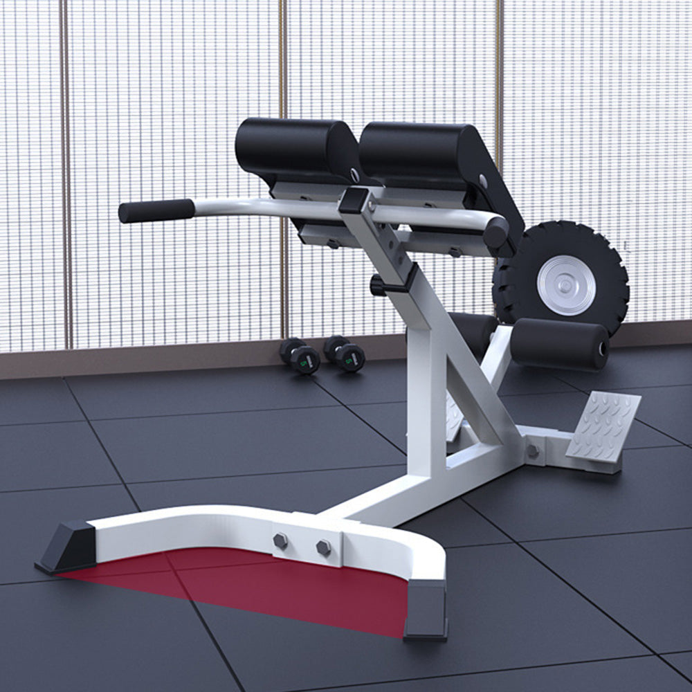 Home Fitness Workout Adjustable Roman Chair Back Extension Exercise Bench Back Training Supine Board