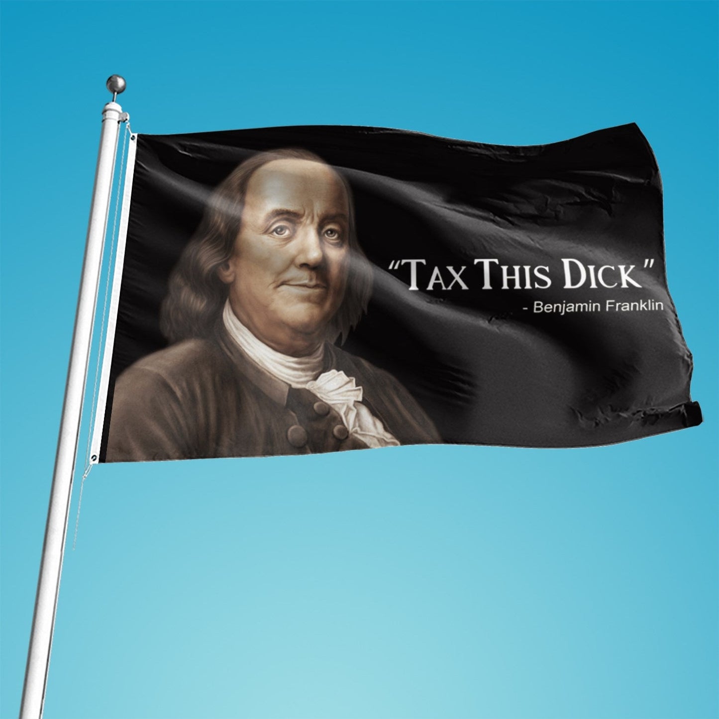 Enjamin Franklin Tax This Dick Funny Quote Flag 3x5ft Banner College
