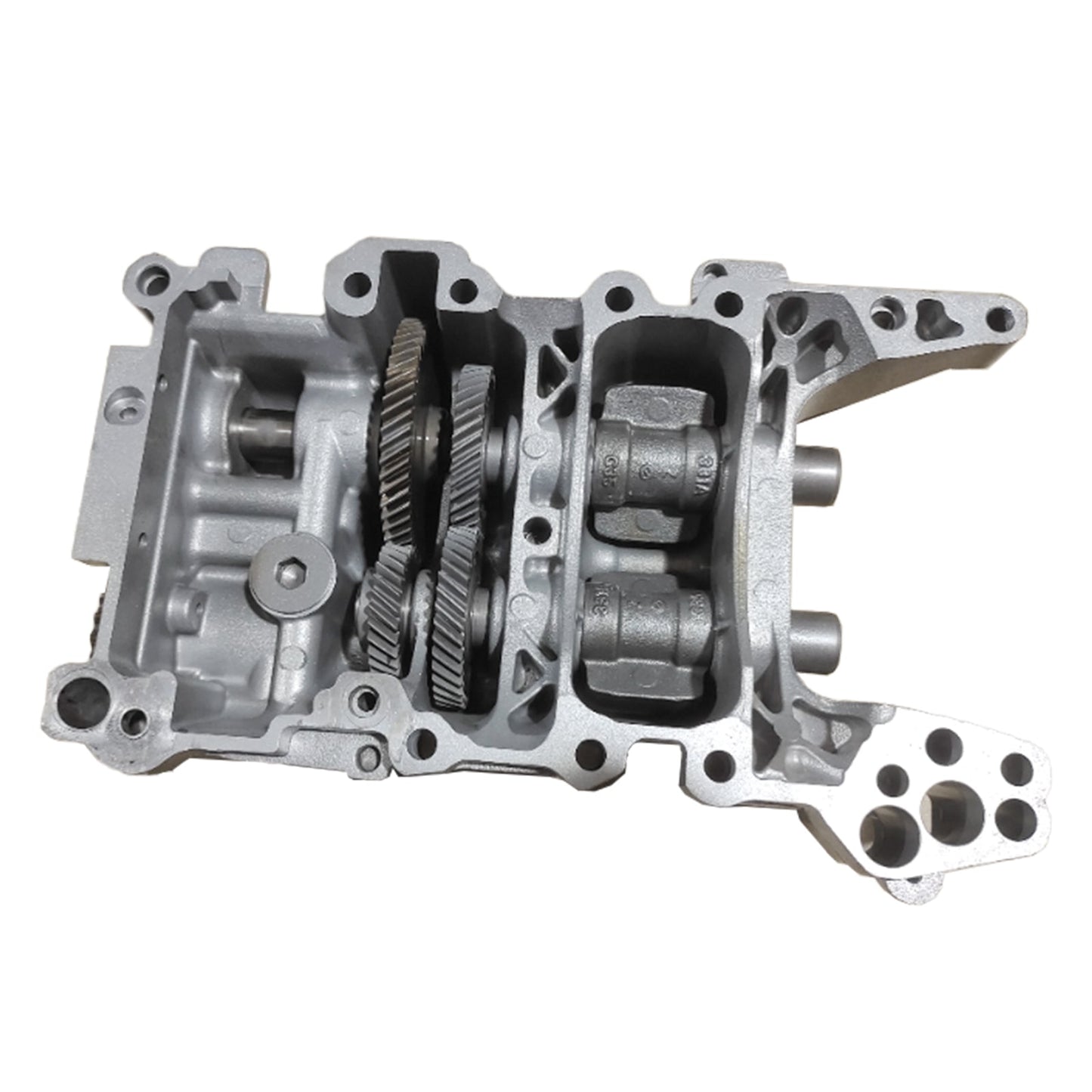 2005-2008 Skoda Octavia RS 2.0 TSI 147kw (200ps) Shaft Balance Assembly Oil Pump 06D103295 06B103535G