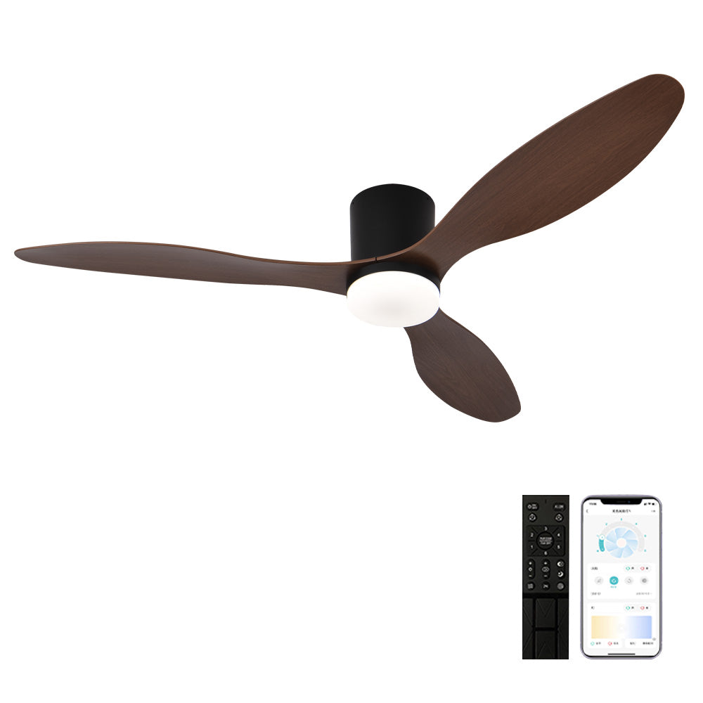 Ceiling Fans with Lights