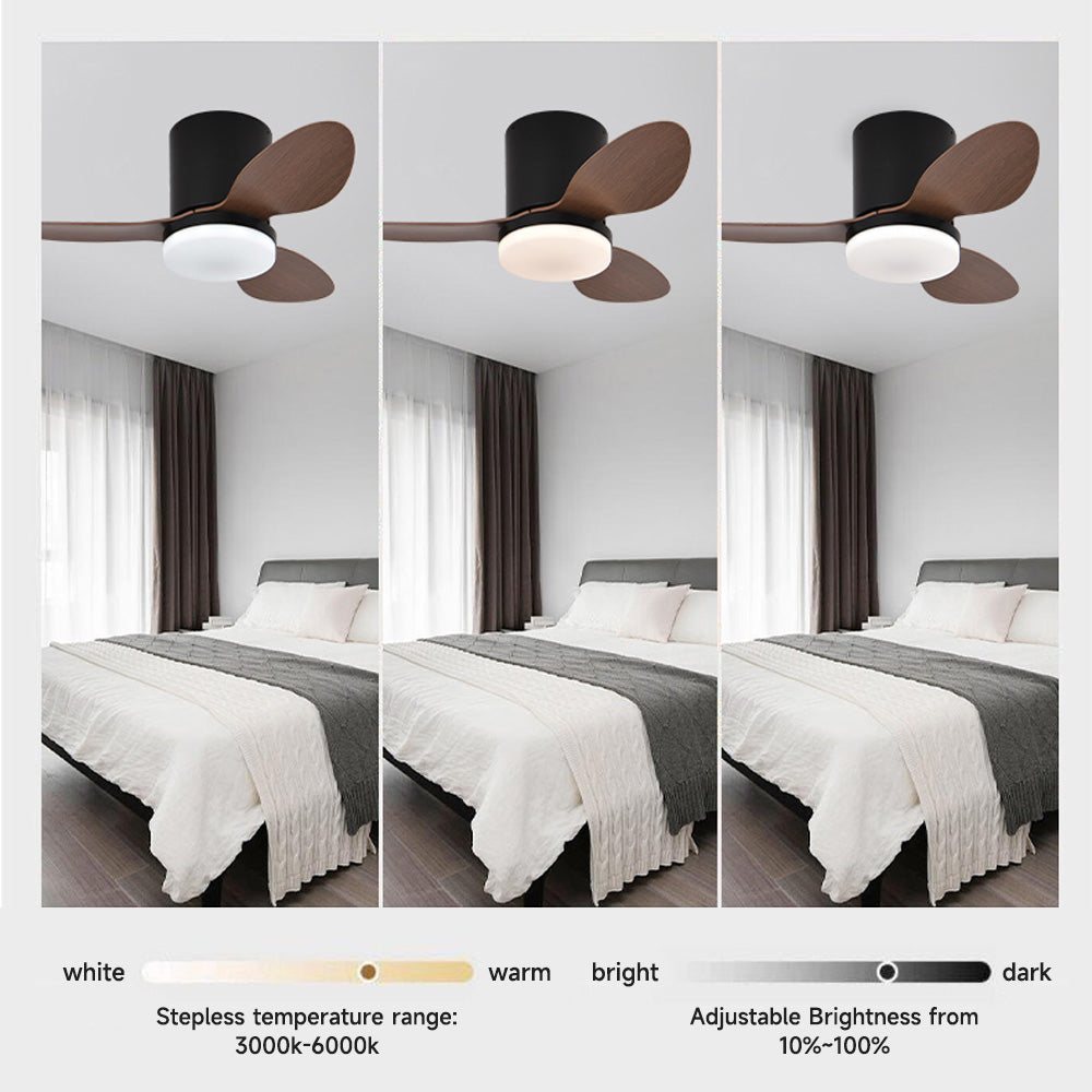 Ceiling Fans with Lights
