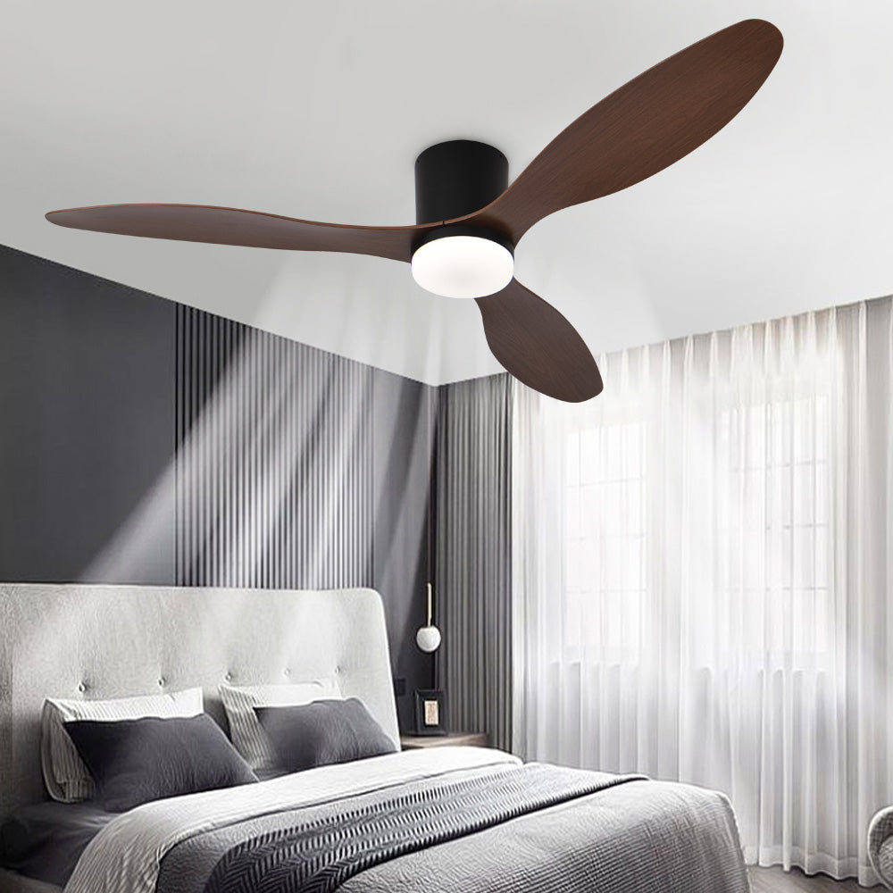 Ceiling Fans with Lights