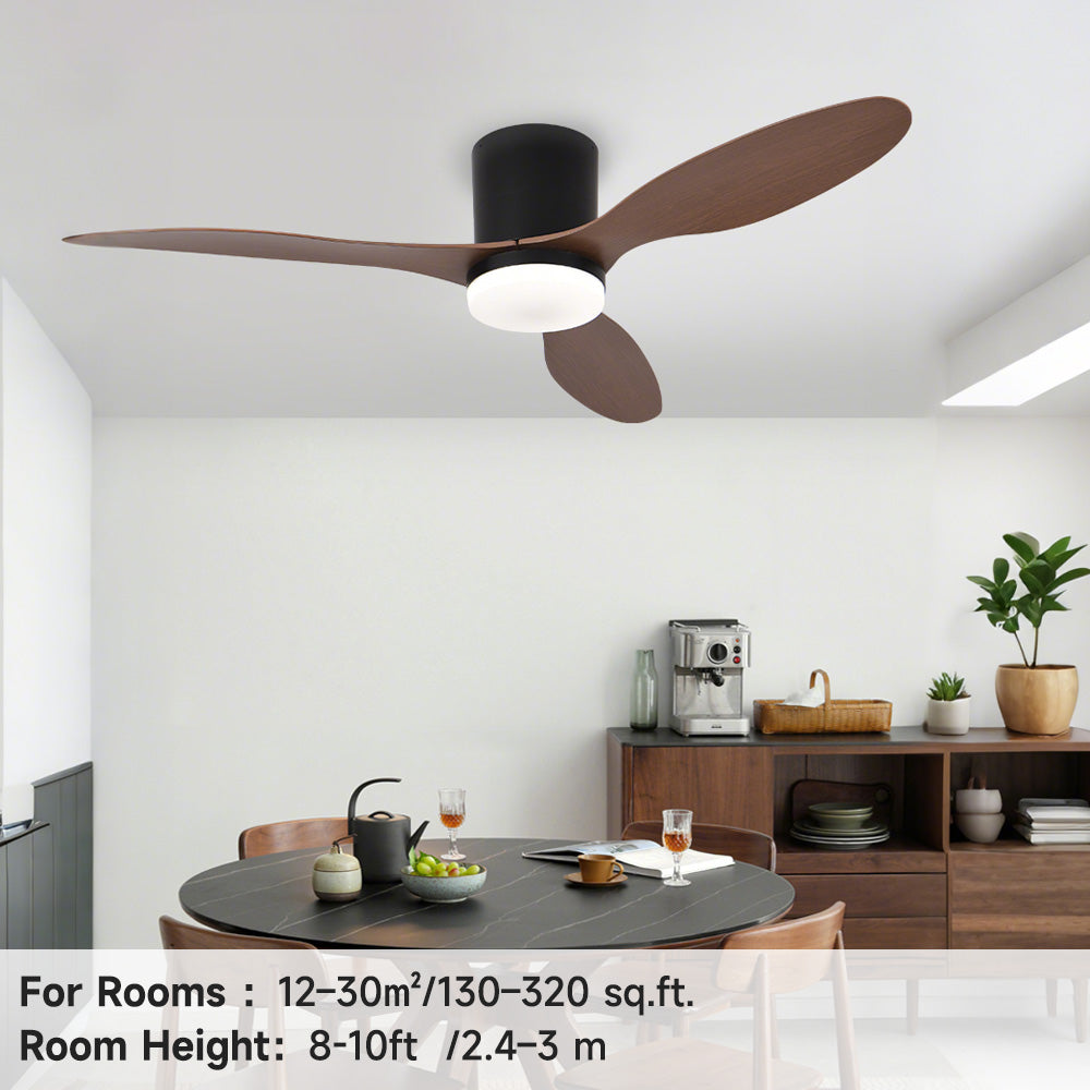 Ceiling Fans with Lights