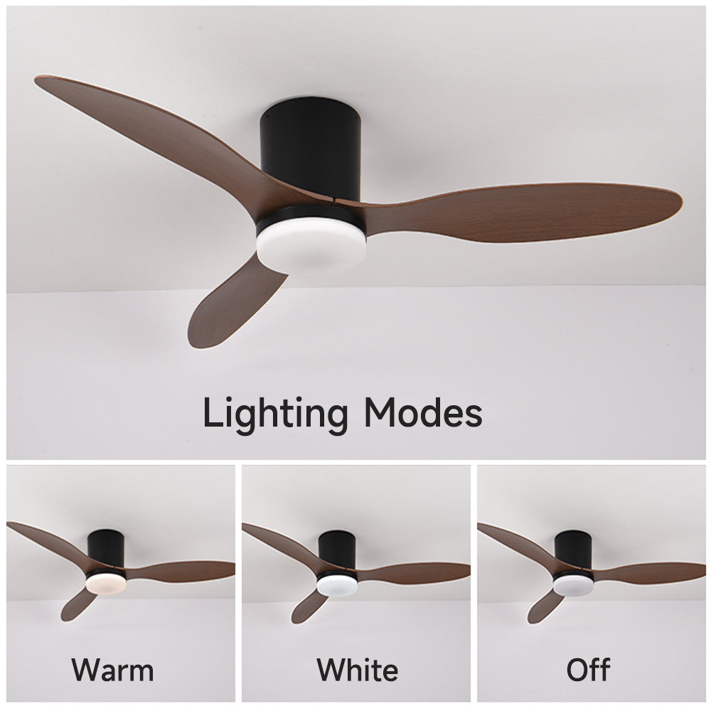Ceiling Fans with Lights