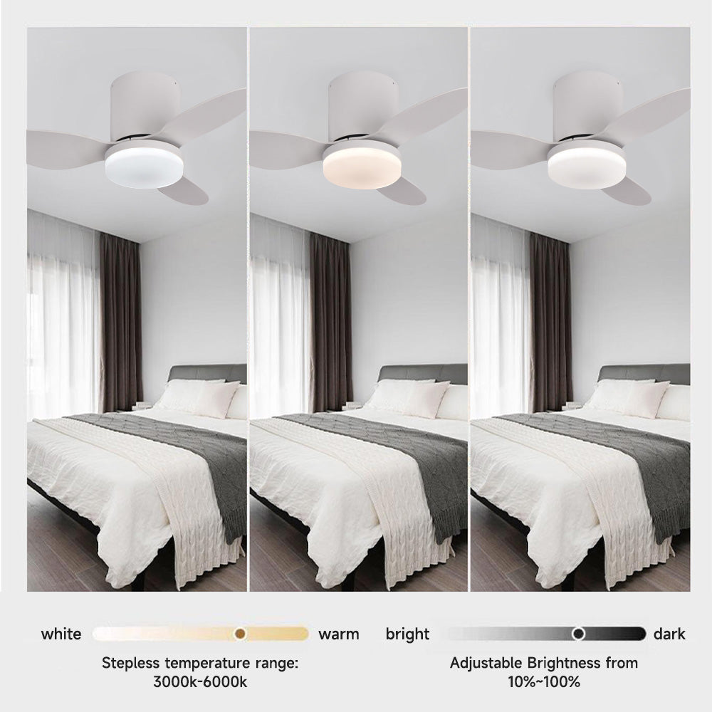 52” Profile Ceiling Fans with Lights Remote/App Control