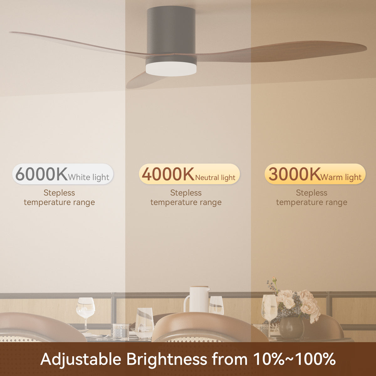 Ceiling Fans with Lights