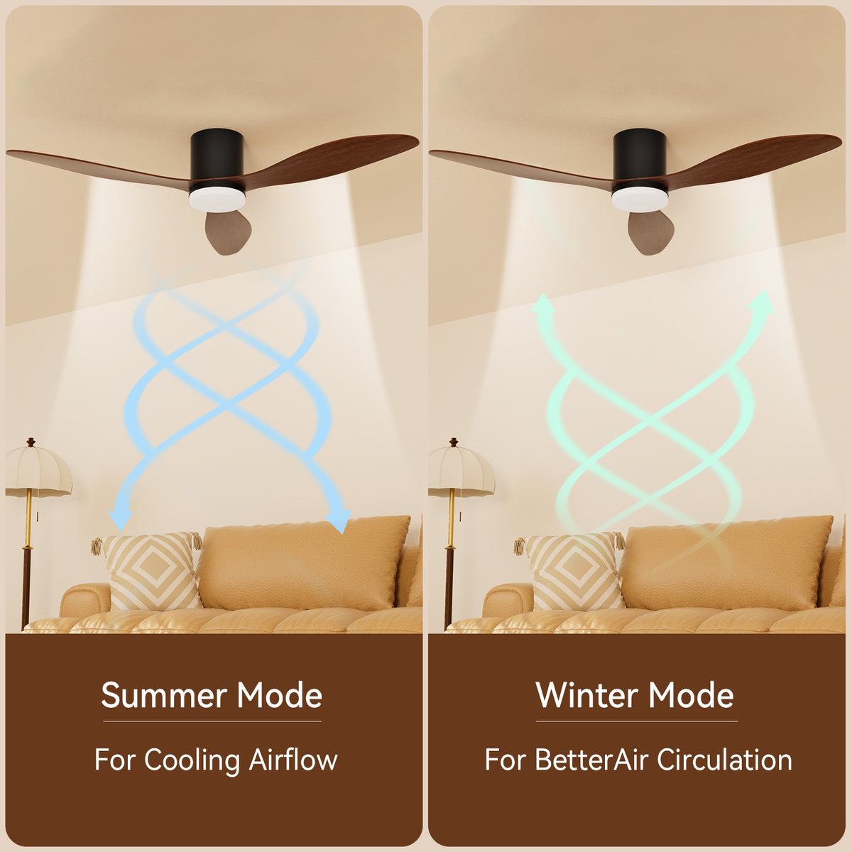 Ceiling Fans with Lights