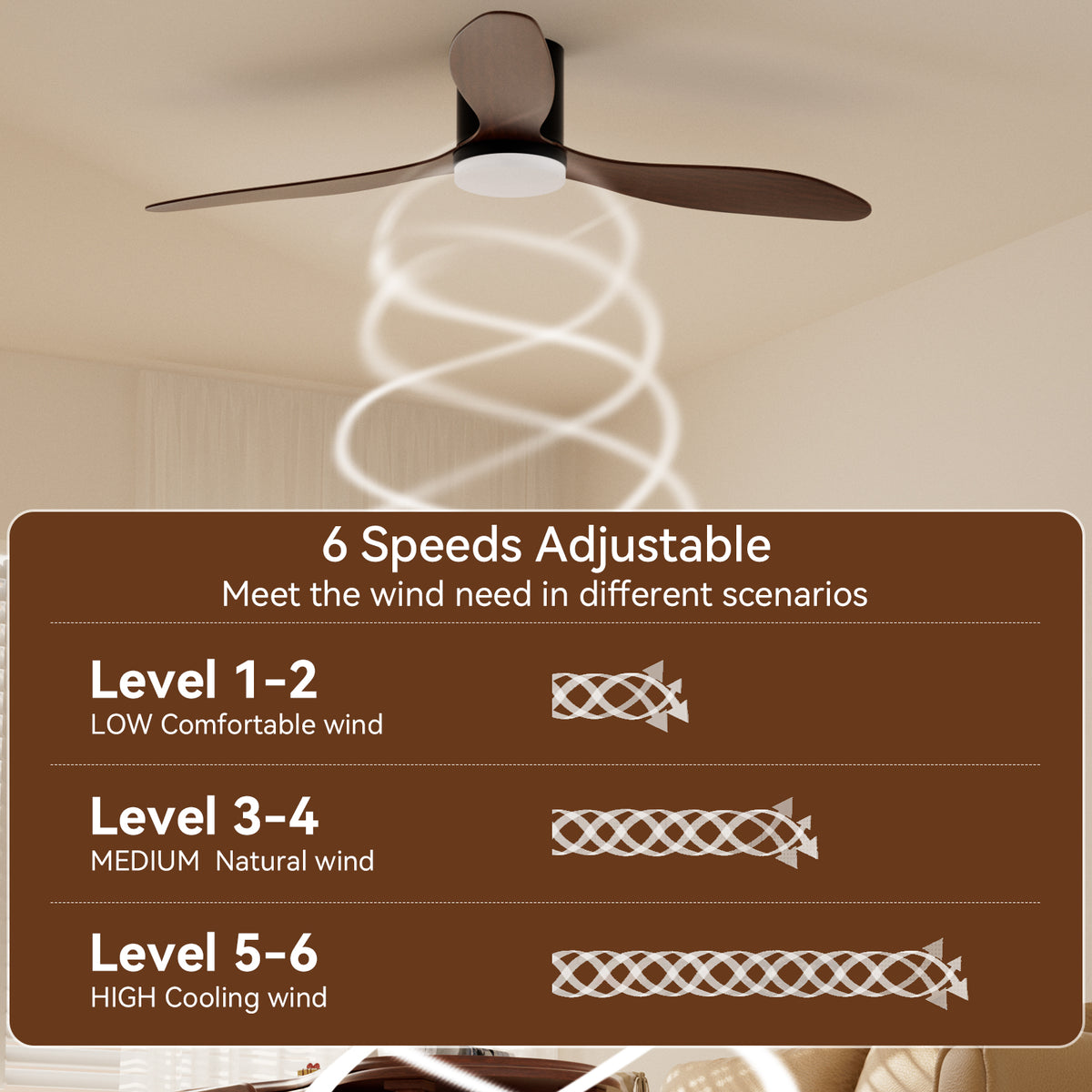 Ceiling Fans with Lights