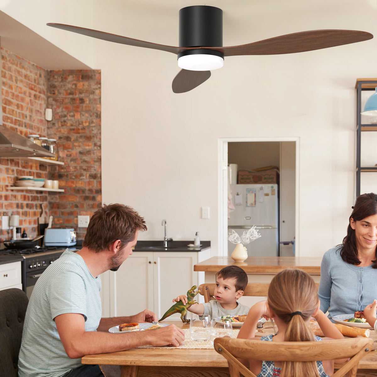 Ceiling Fans with Lights