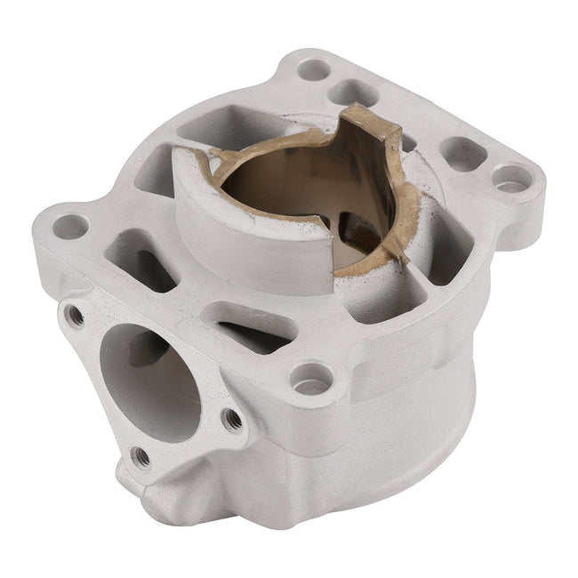 2009-2023 SX 65 Cylinder 46230038000
