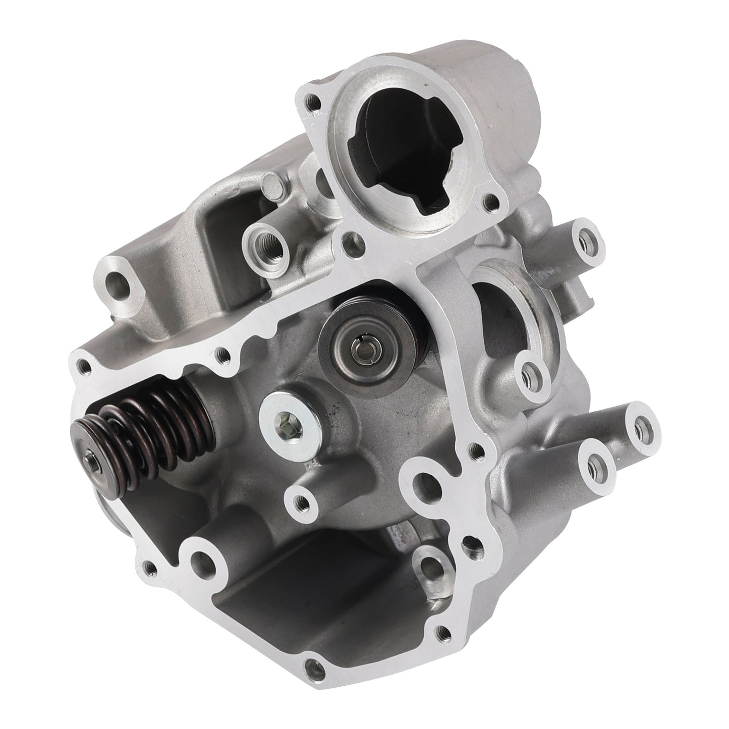 2014-2020 Honda Rancher 420 TRX420TE1 4x4 ES Cylinder Head Valves Kit 12200-HP7-A01 14781-MBB-003