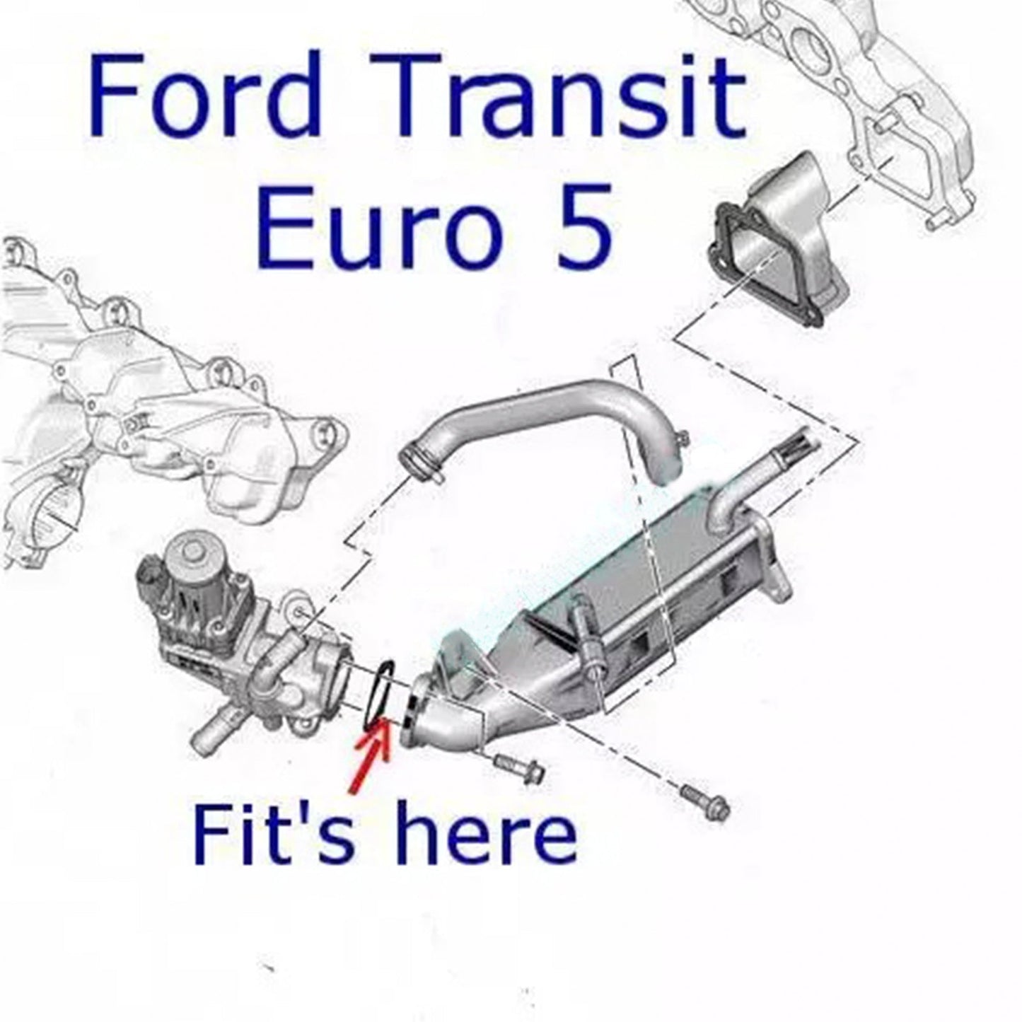 EGR Valve Block Plate for Ford Transit Custom Euro5 & 6 2.2L 2.4 TDCi 2011 on