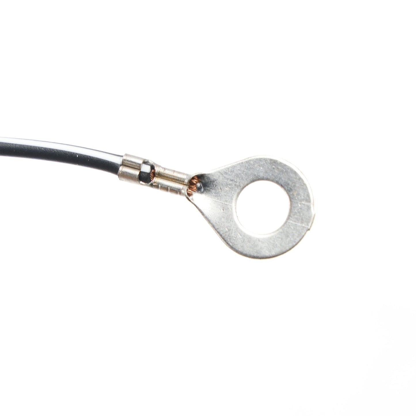 TM Racing EN 125 2001-2021 Ignition Stator 5-Wire