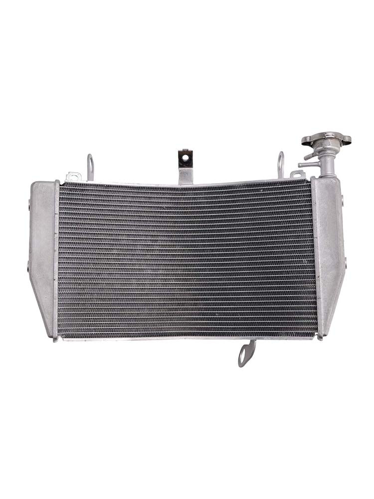 2016-2018 DUCATI Monster 1200 R Radiator Cooler Cooling
