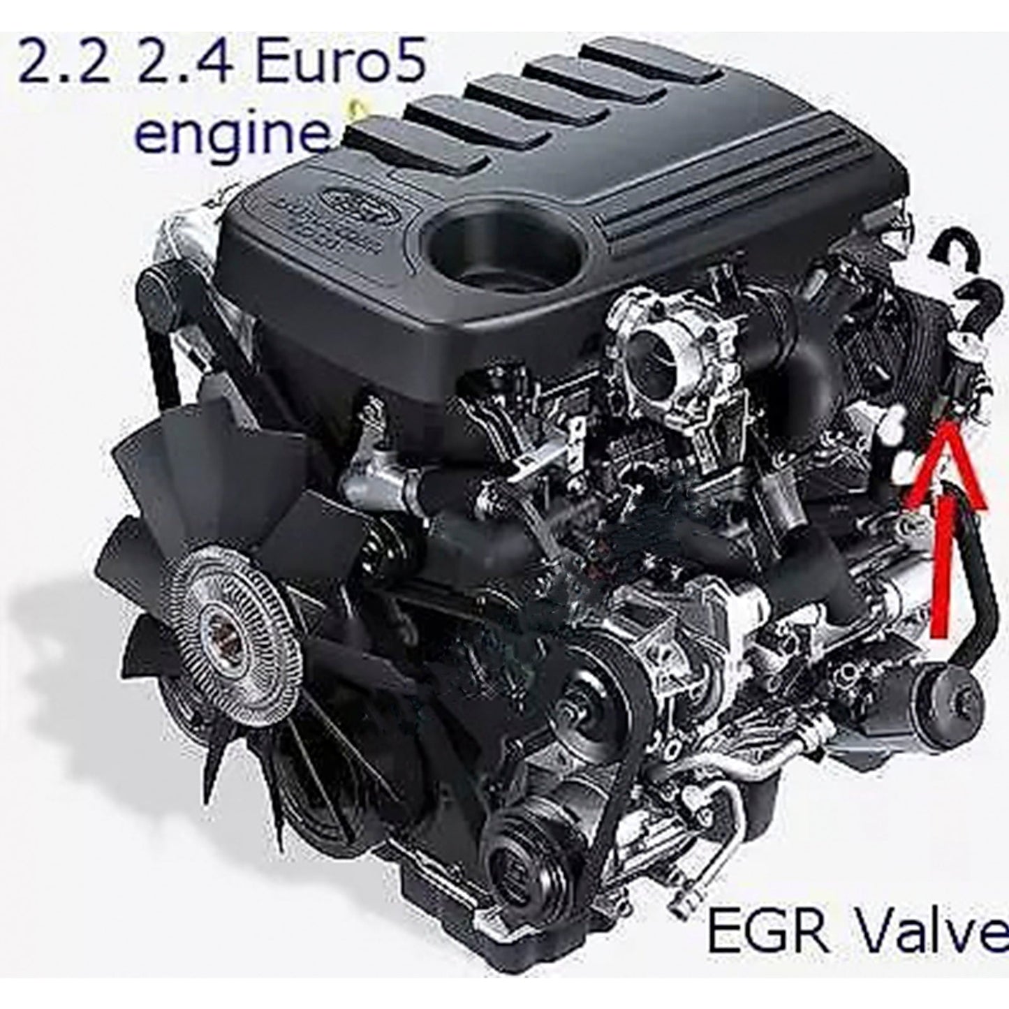 EGR Valve Block Plate for Ford Transit Custom Euro5 & 6 2.2L 2.4 TDCi 2011 on