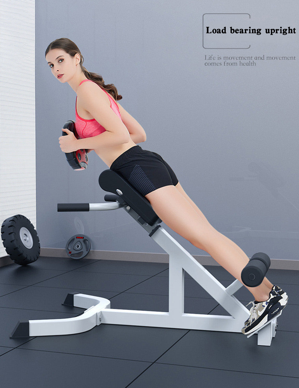 Home Fitness Workout Adjustable Roman Chair Back Extension Exercise Bench Back Training Supine Board