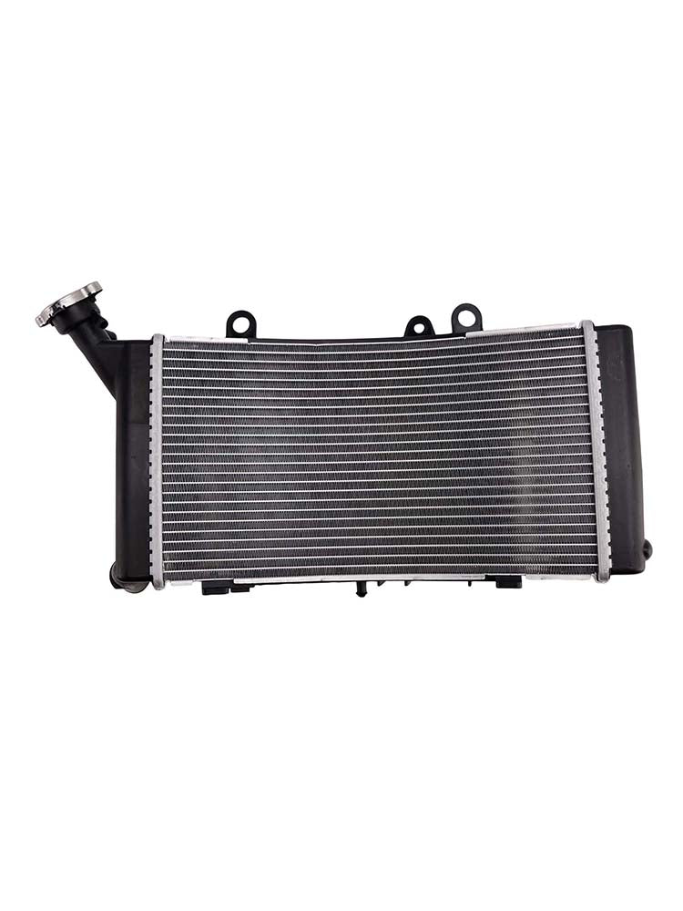 Radiator Cooler Cooling Fit For BMW F750GS F850GS / Adv 2019-2024