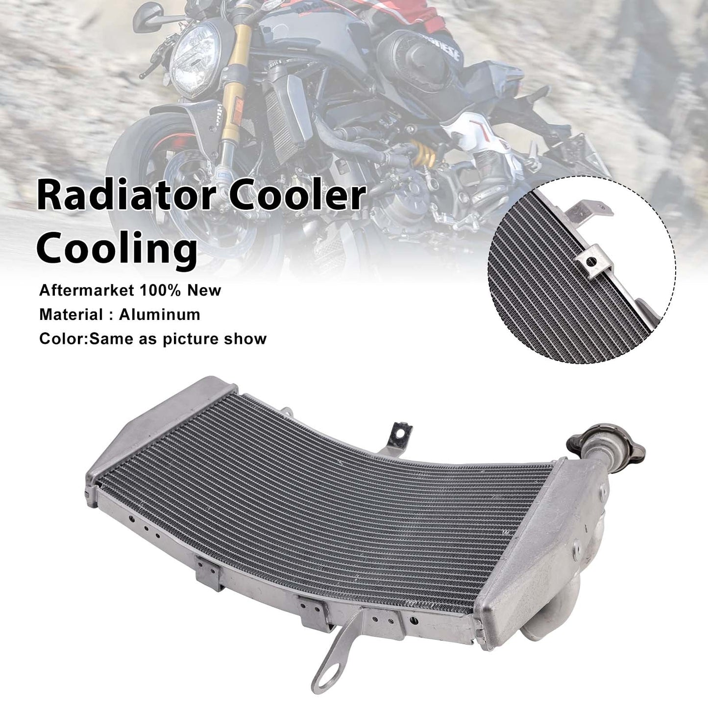 2014-2021 DUCATI Monster 1200 S Radiator Cooler Cooling