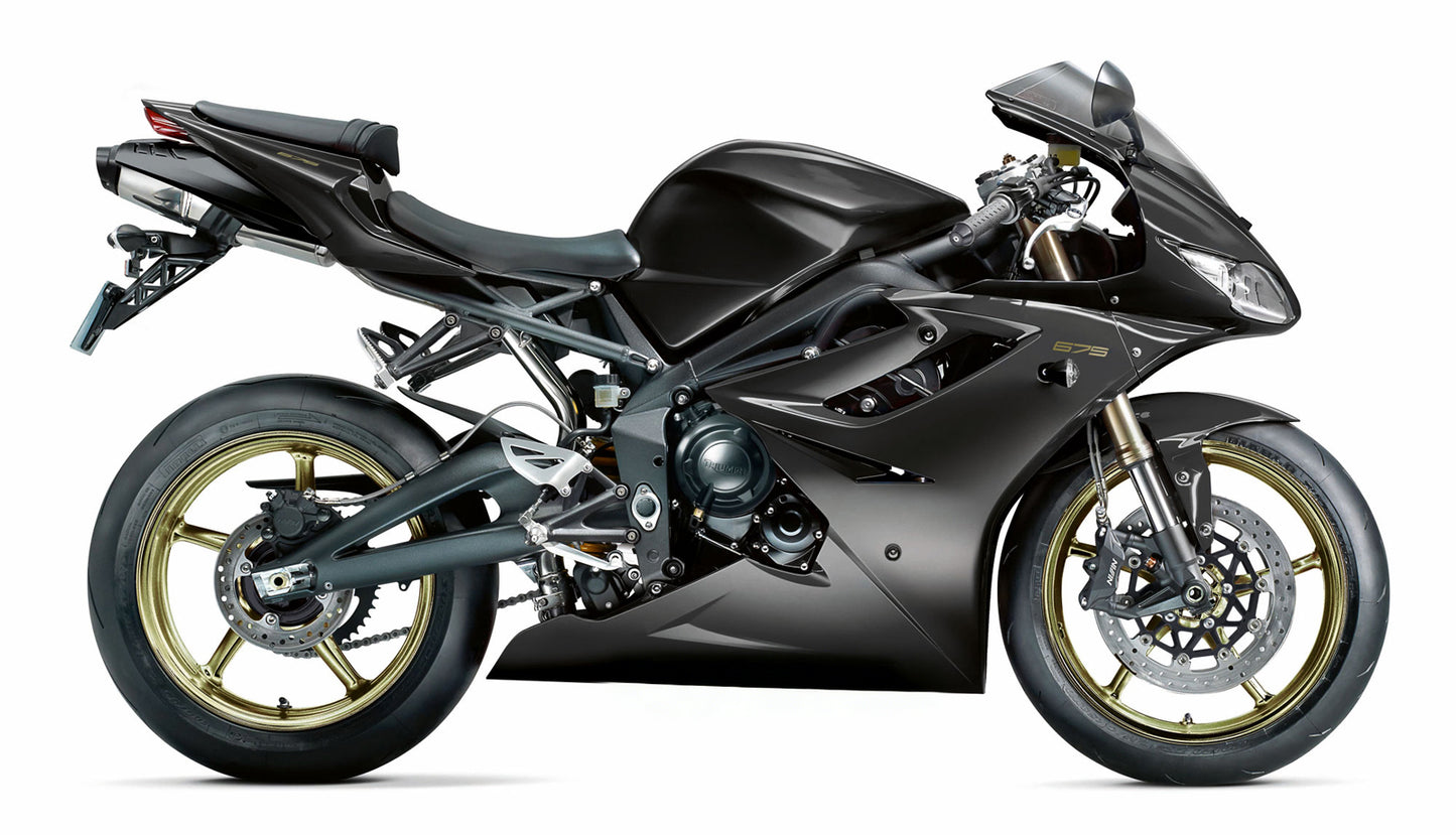 2006-2008 Triumph Daytona 675 Amotopart Fairings Gold Daytona Racing Customs Fairing