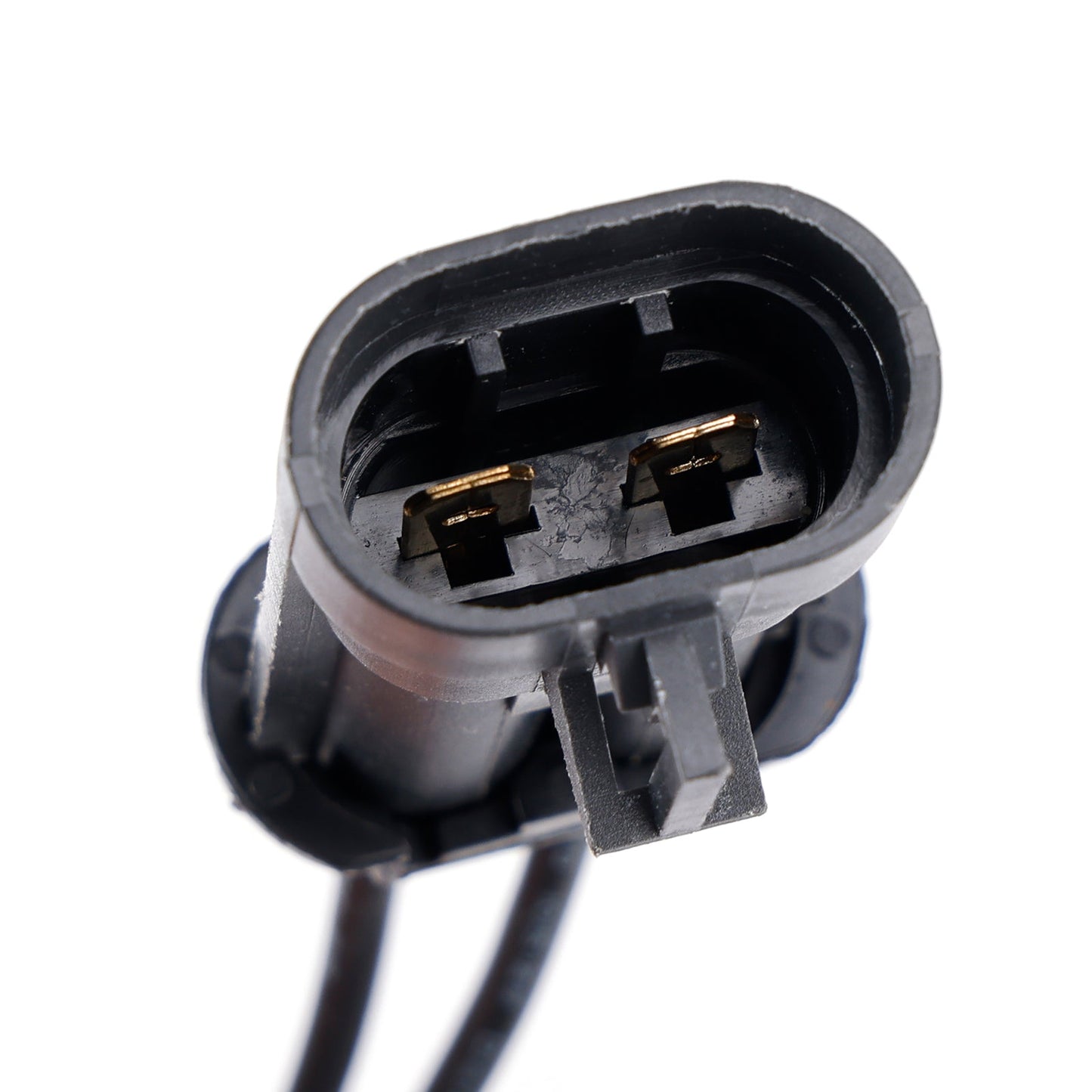2004-2005 Road King Custom EFI Stator & Regulator Rectifier Primary Gasket Kit 2998706D 74505-06