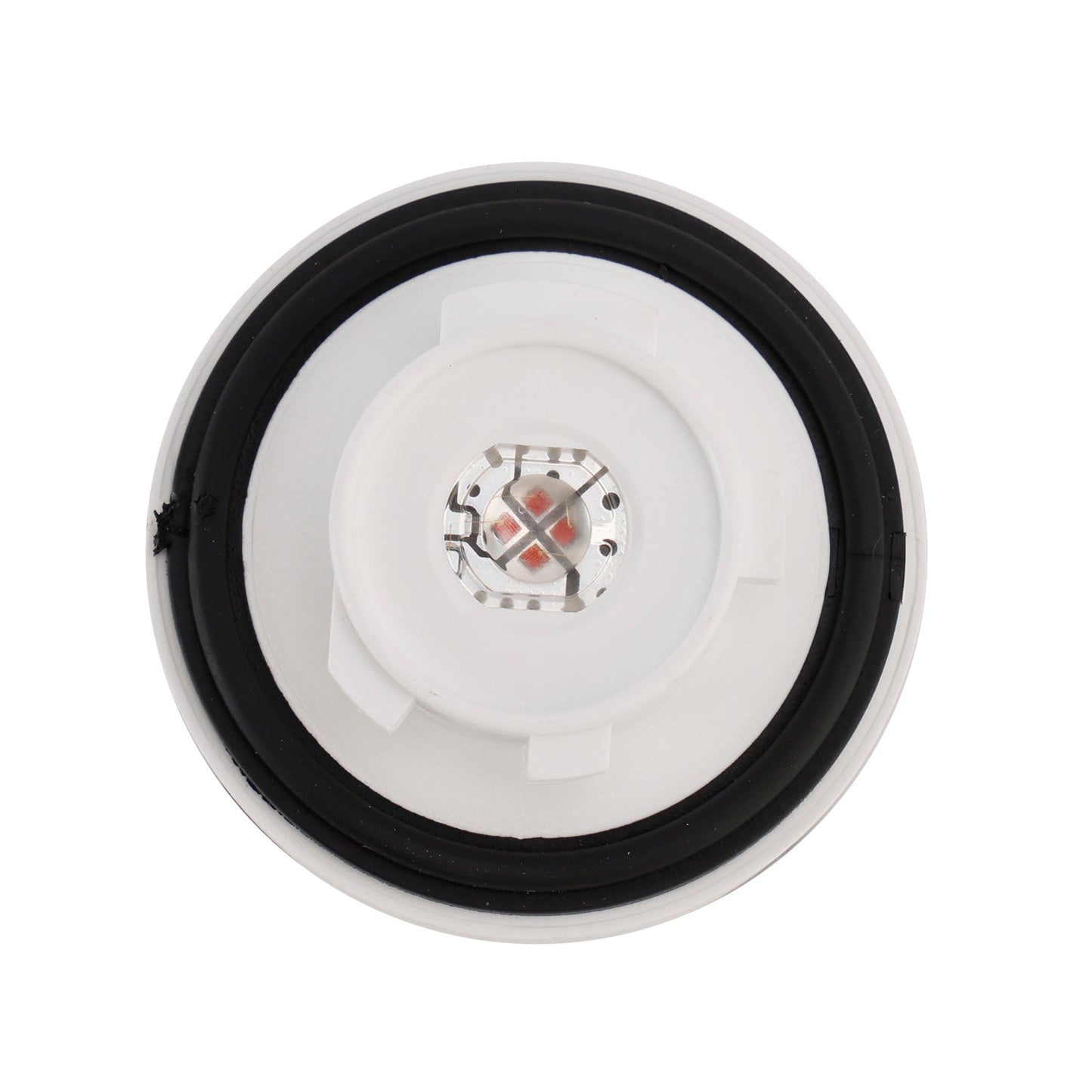 Taillight LED Modules LR5B 21312 12V 3W 6-2Pin For PHILIPS