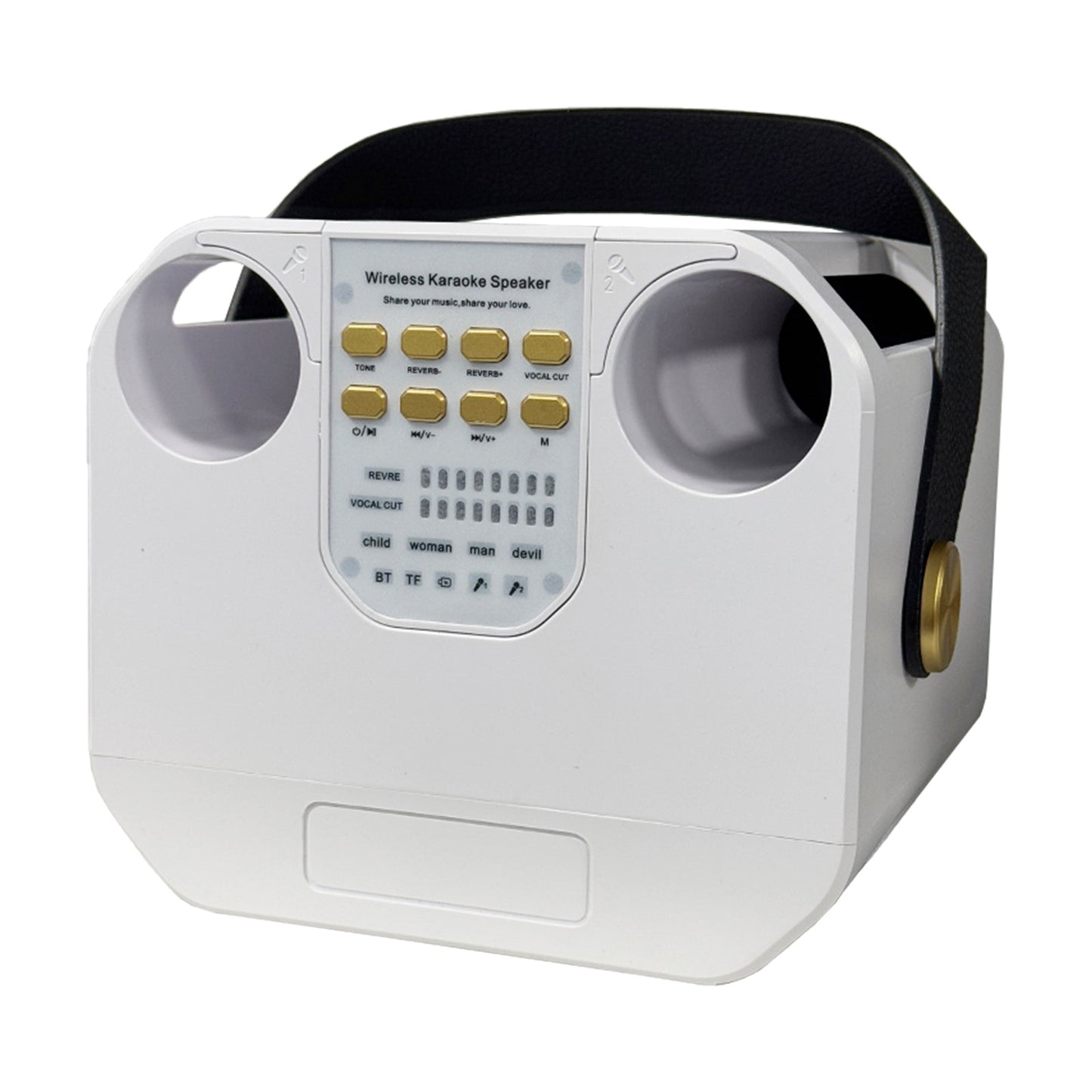 Wireless Bluetooth Speaker Dual Microphone Karaoke Home Portable Karaoke Speaker