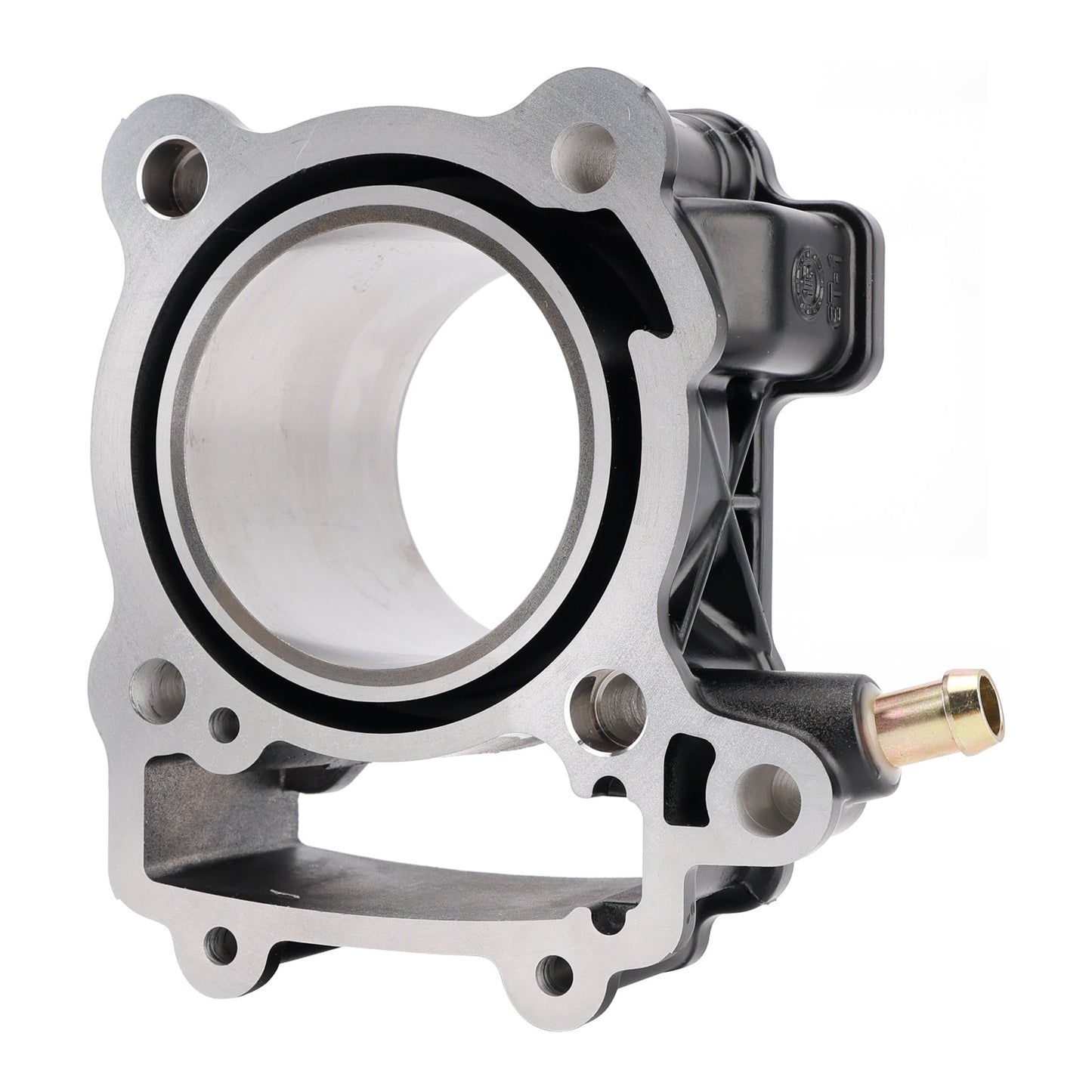 2012-2023 Bajaj Pulsar NS 200 250cc Cylinder Piston Kit 36JL0007 JL521002 JL511022