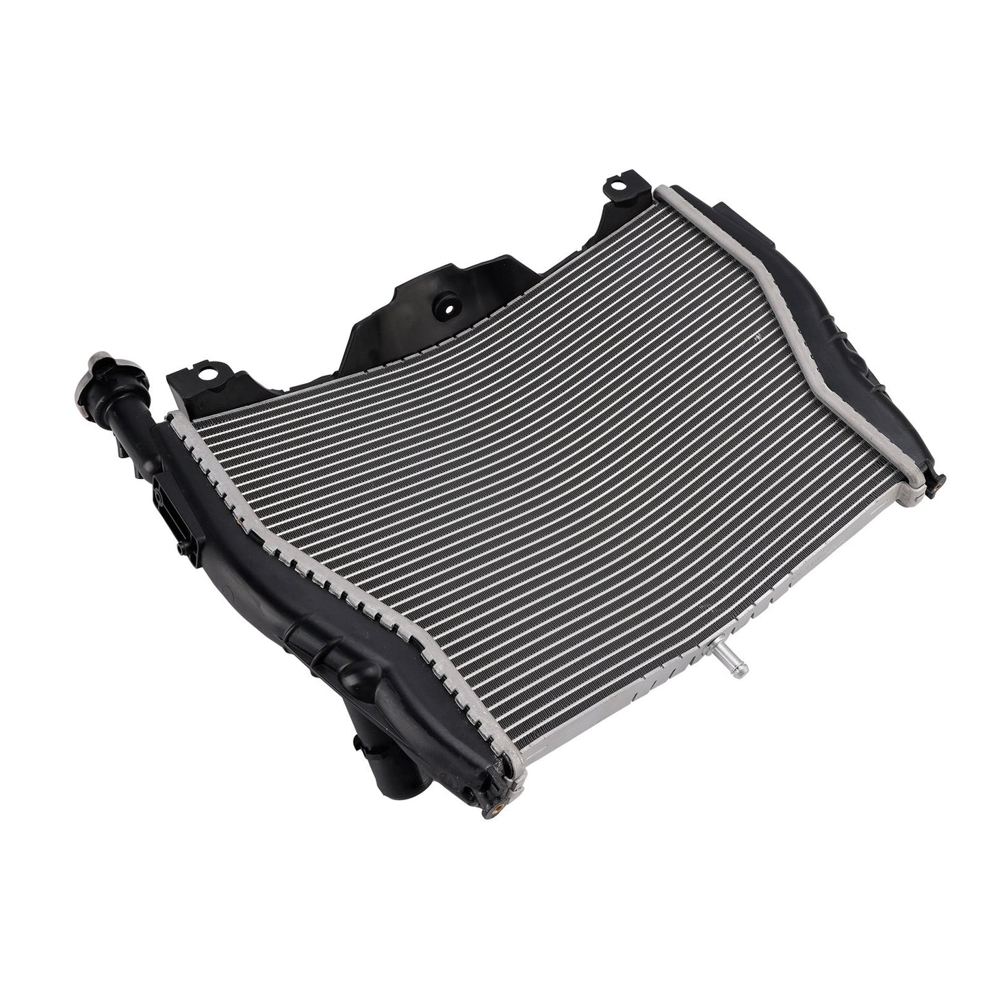 2015-2018 BMW S1000R Aluminum Radiator Cooling Engine Cooler