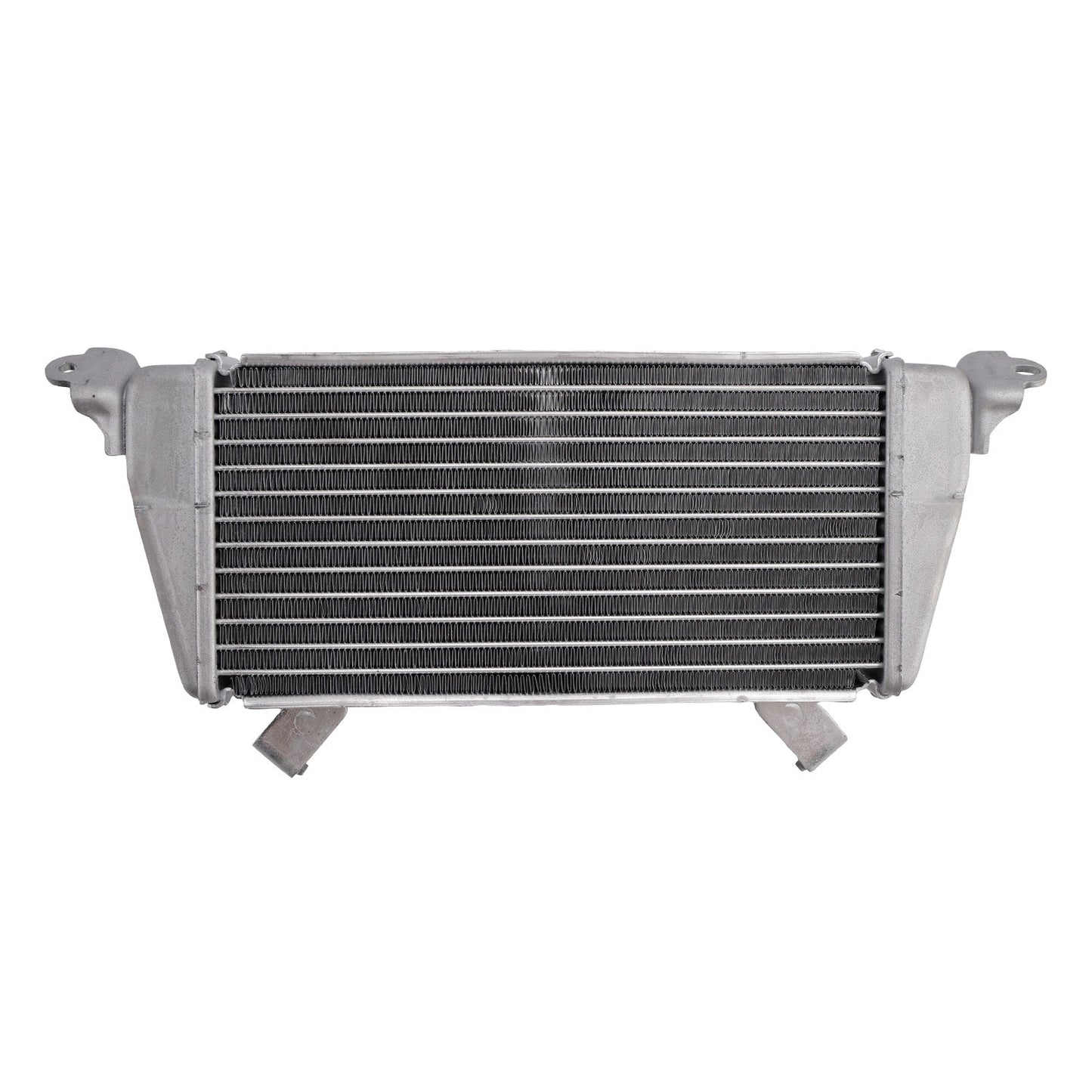 2021-2025 BMW S1000R Radiator Cooler Cooling