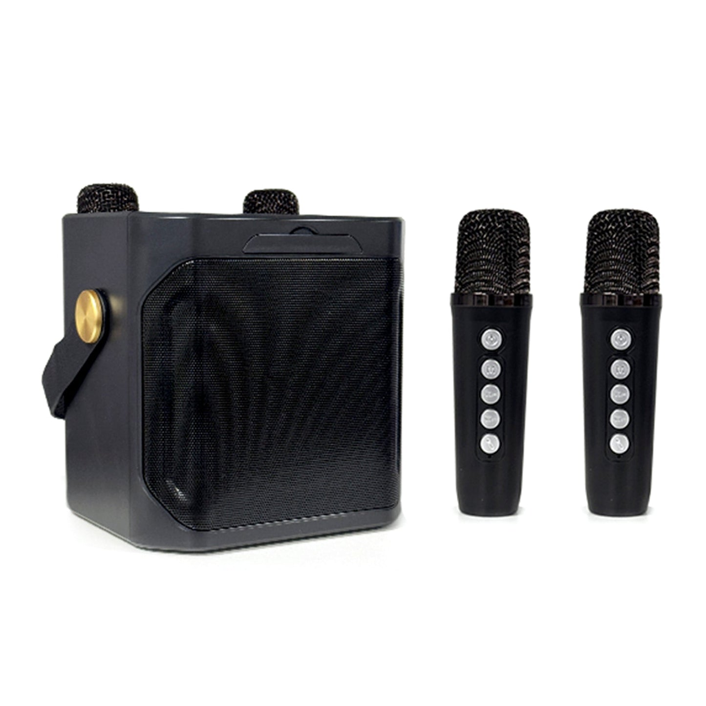 Wireless Bluetooth Speaker Dual Microphone Karaoke Home Portable Karaoke Speaker