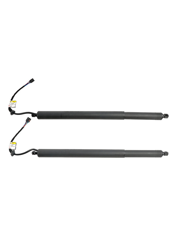 2020-2022 Hyundai Palisade 2PCS Power Liftgates Lift Support 81831-S8100