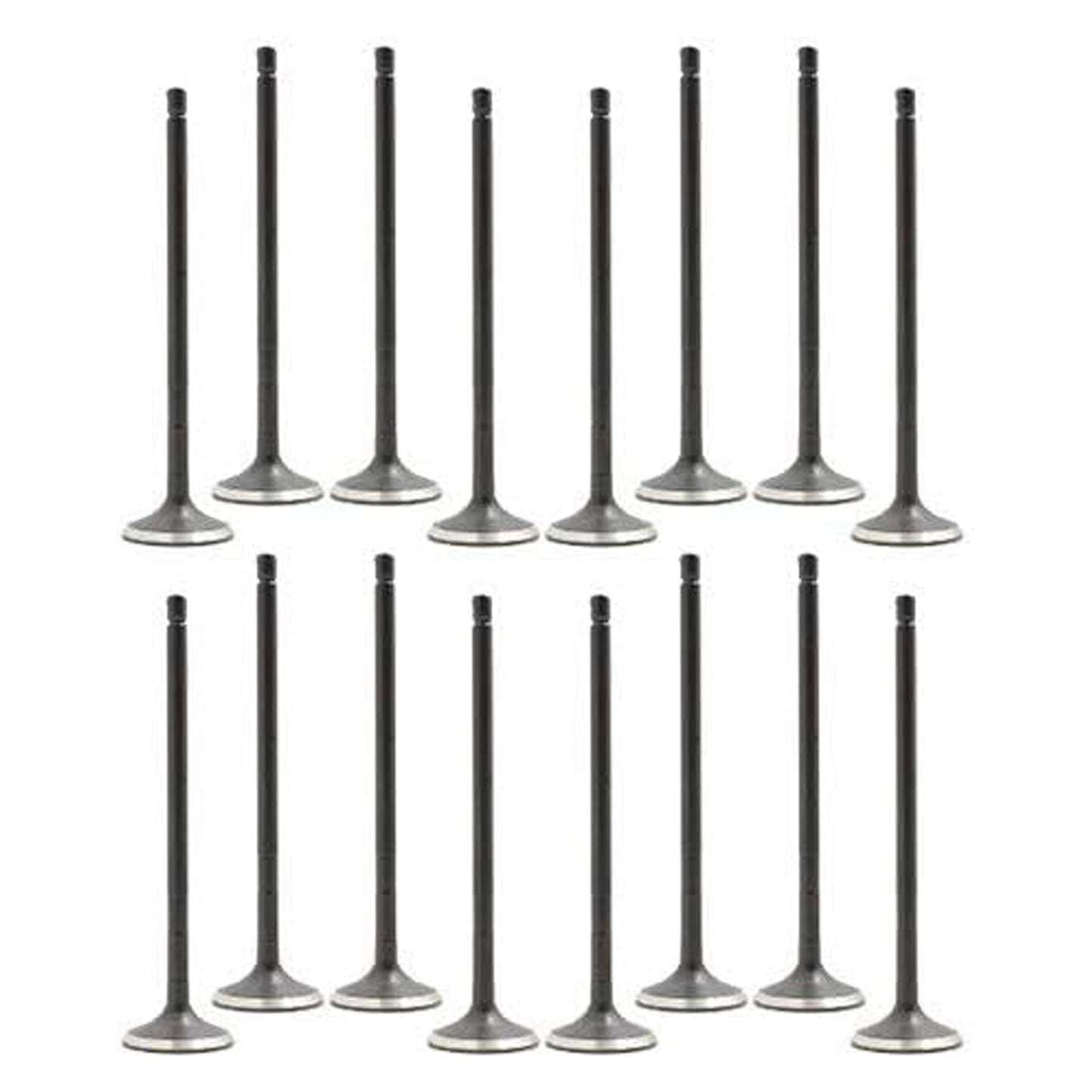 2008-2015 Toyota Scion L4 1.8L DOHC 2ZR-FE 16PCS Exhaust Intake Valve Kit