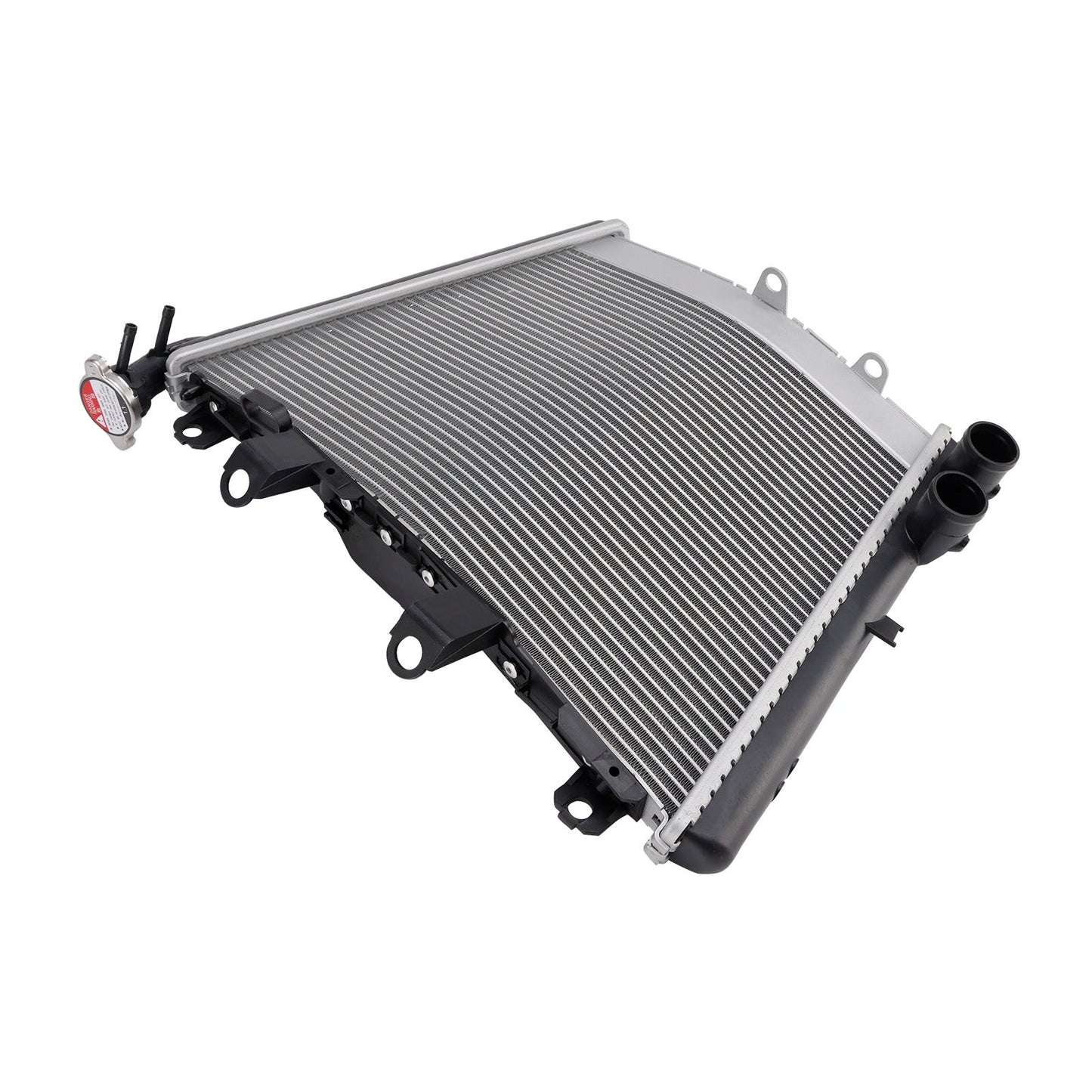 2019-2025 BMW S1000RR Radiator Cooling Engine Cooler