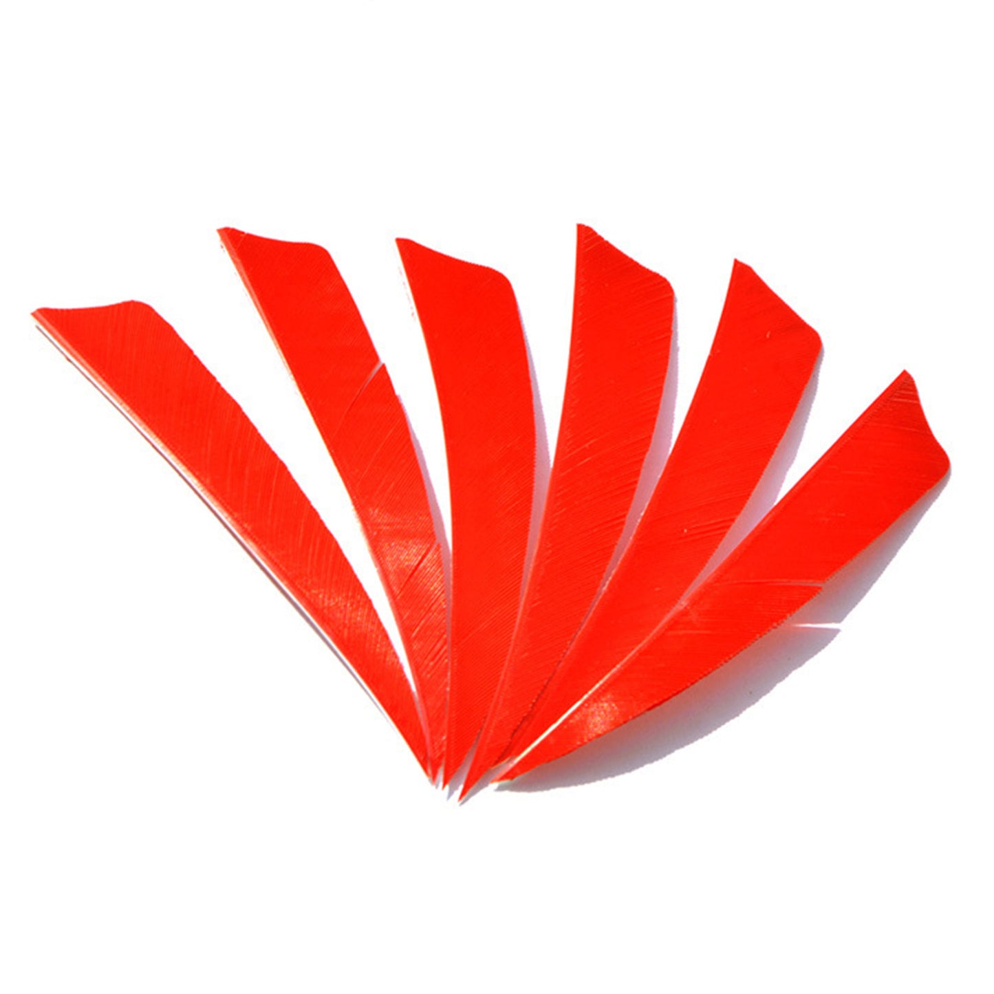 50PCS 3"4"5" Archery Arrow Feather Natural Fletching Turkey Fletches Bow Arrow