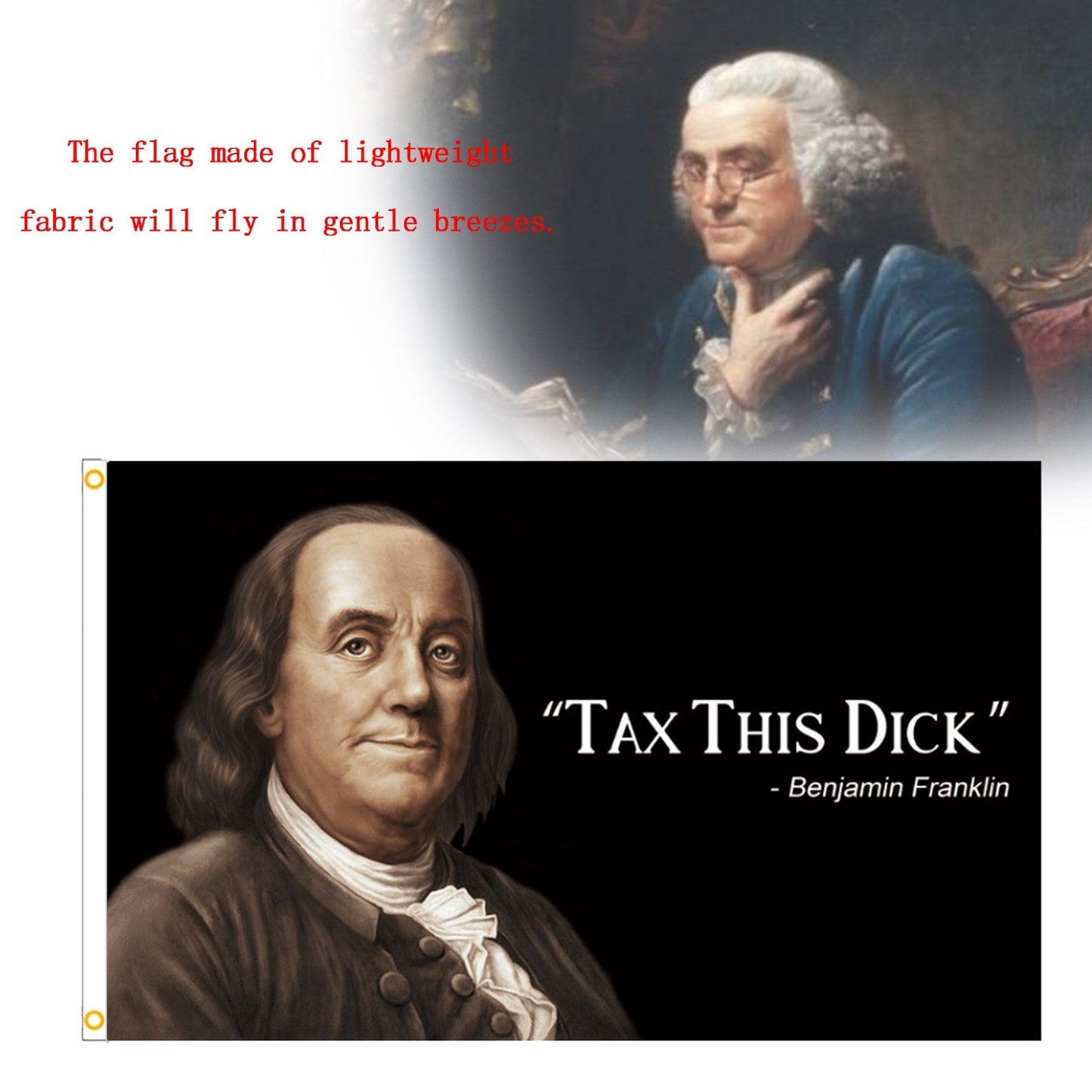 Enjamin Franklin Tax This Dick Funny Quote Flag 3x5ft Banner College