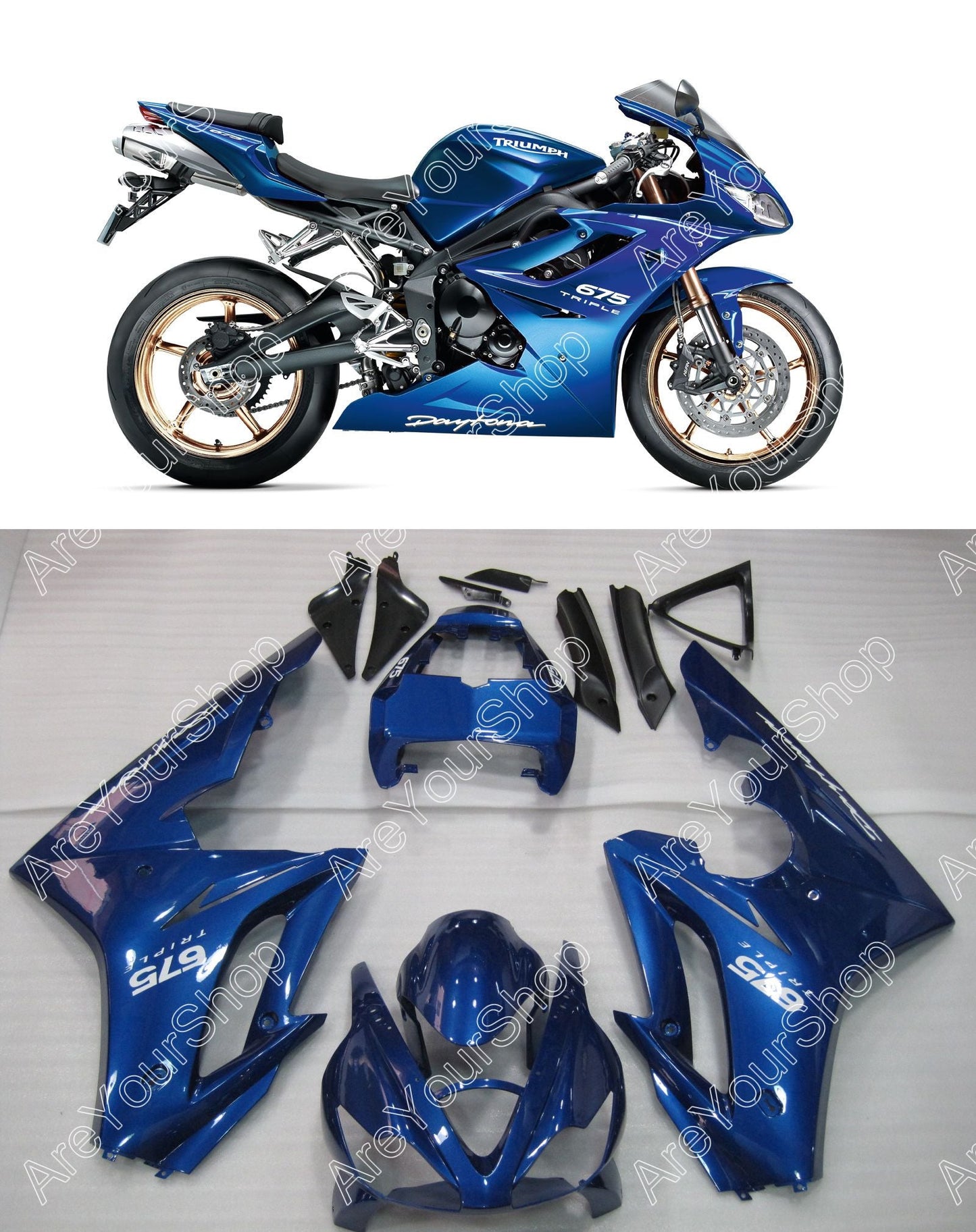 2009-2012 Triumph Daytona 675 Amotopart Fairings Blue Daytona Racing Customs Fairing