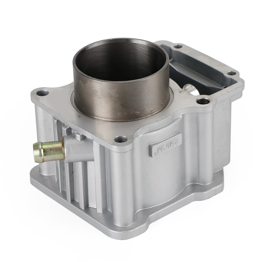 67mm Cylinder Kit Water Cooled Zongshen CG250 250cc ATV Dirt Bike TaoTao Roketa Fedex Express