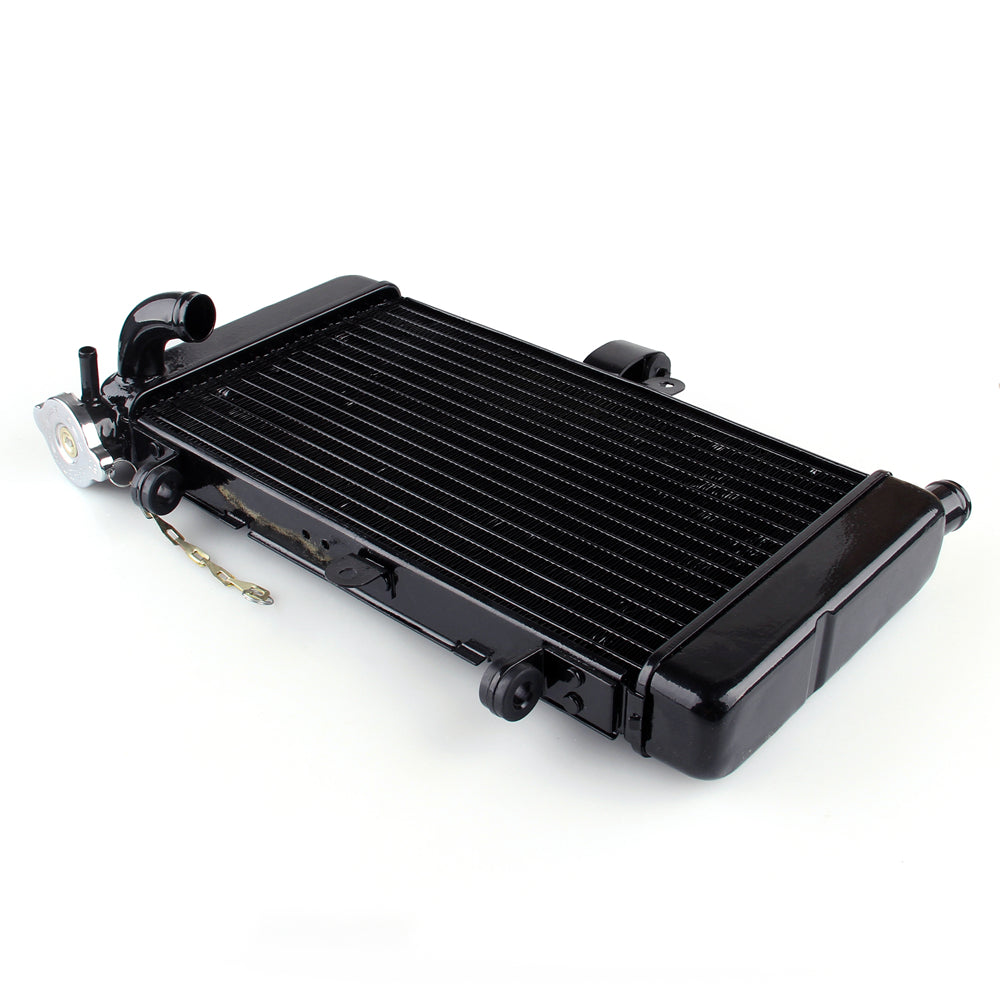 Radiator Grille Guard Cooler For Honda VT250 (Magna250 ) 1995-1997 Black