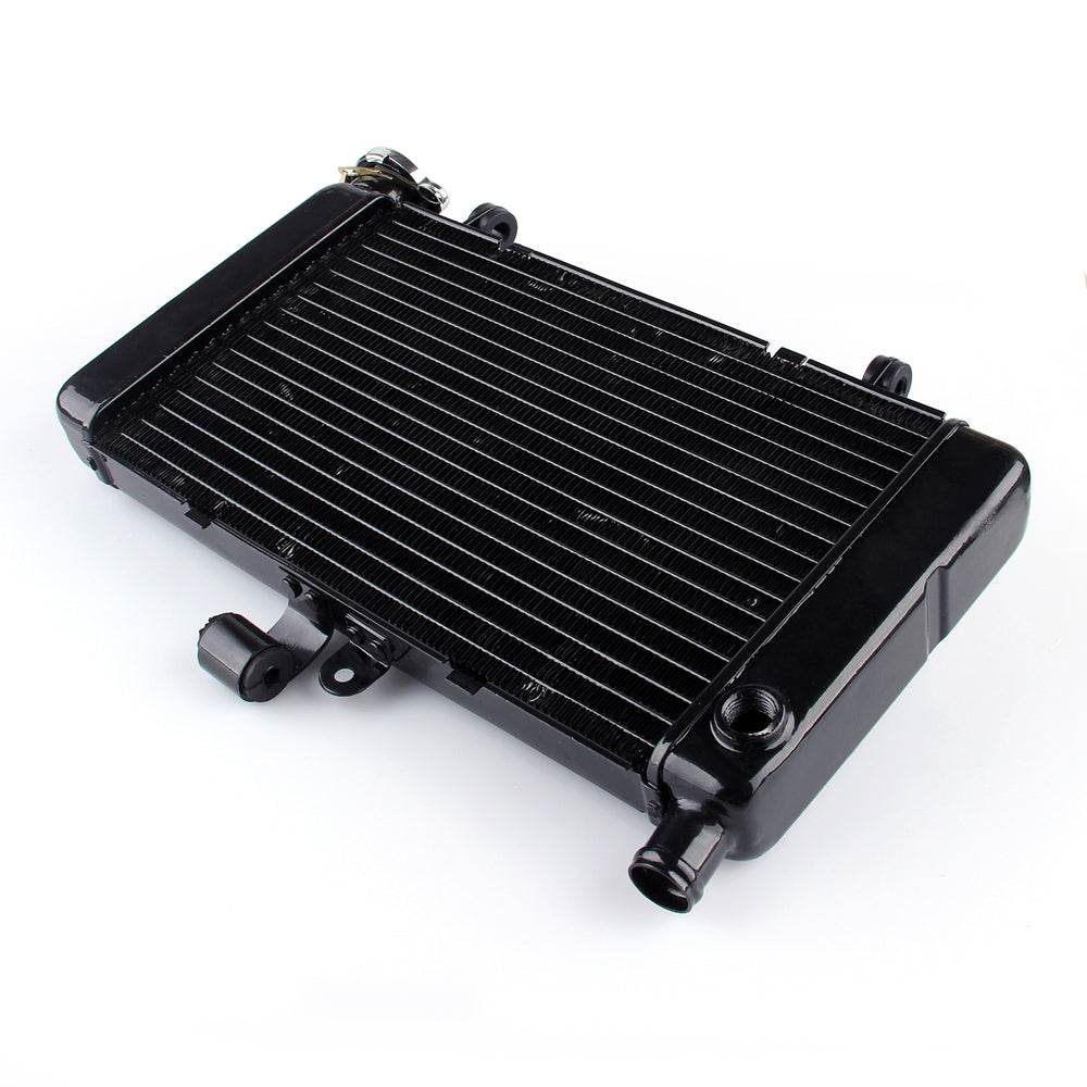 Radiator Grille Guard Cooler For Honda VT250 (Magna250 ) 1995-1997 Black