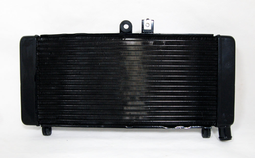 Radiator Grille Guard Cooler For Honda CB900 CB919F Hornet900 2002-2007 Black