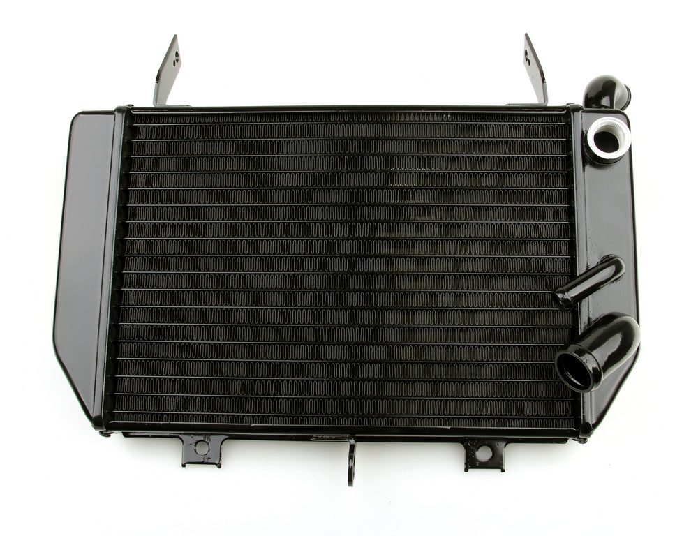 Radiator Grille Guard Cooler For Suzuki TL1000R 1998-2003 Bottom Low Black