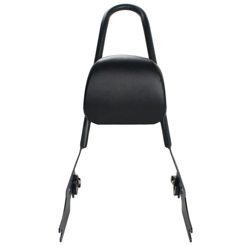 Sissy Bar Luggage Rack Seat Backrest Pad For 2015-18 Street 500 750 XG500 XG750 Generic