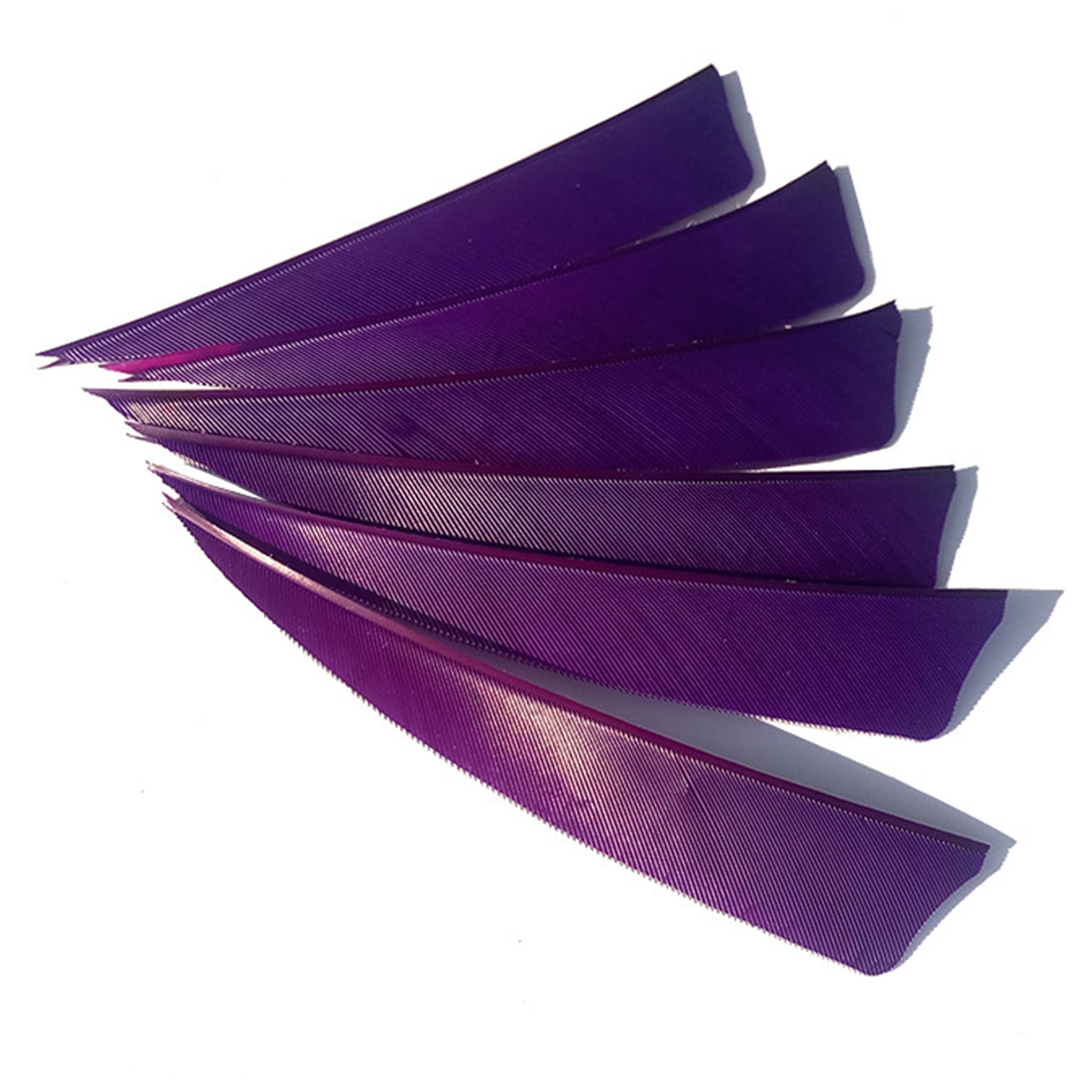 50PCS 3"4"5" Archery Arrow Feather Natural Fletching Turkey Fletches Bow Arrow
