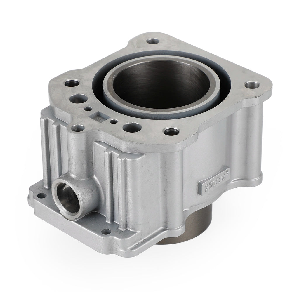 67mm Cylinder Kit Water Cooled Zongshen CG250 250cc ATV Dirt Bike TaoTao Roketa Fedex Express