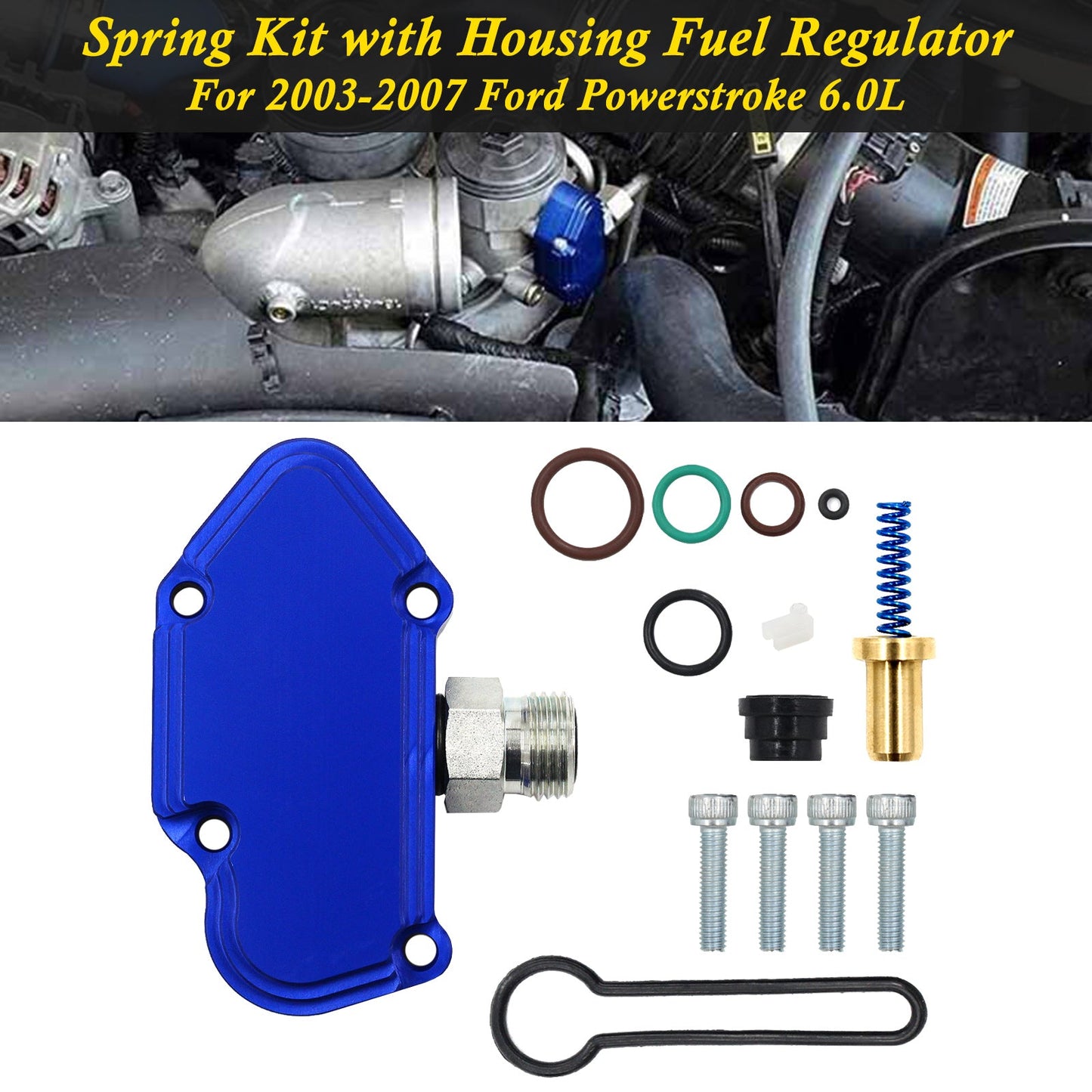 Ford Powerstroke 6.0L 2003-2007 Blue Spring Kit with Housing Fuel Regulator