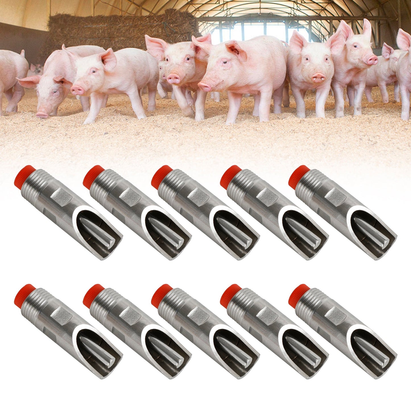 10Pcs Stainless Steel Drinker Waterer Tools 1/2" NPT Thread Pig Hog Automatic Fedex Express