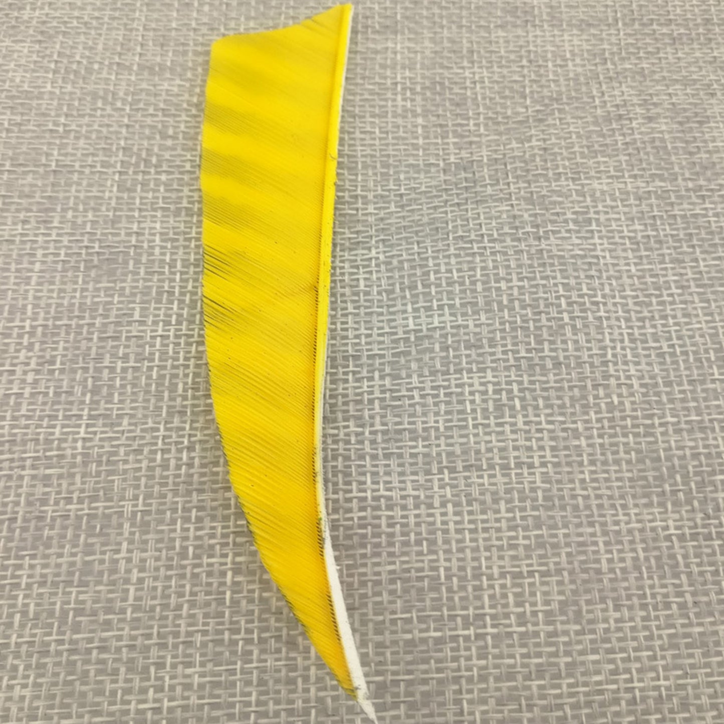 50x 4" 5" Archery Arrow Feathers Turkey Nature Fletches Fletching Bow Striped